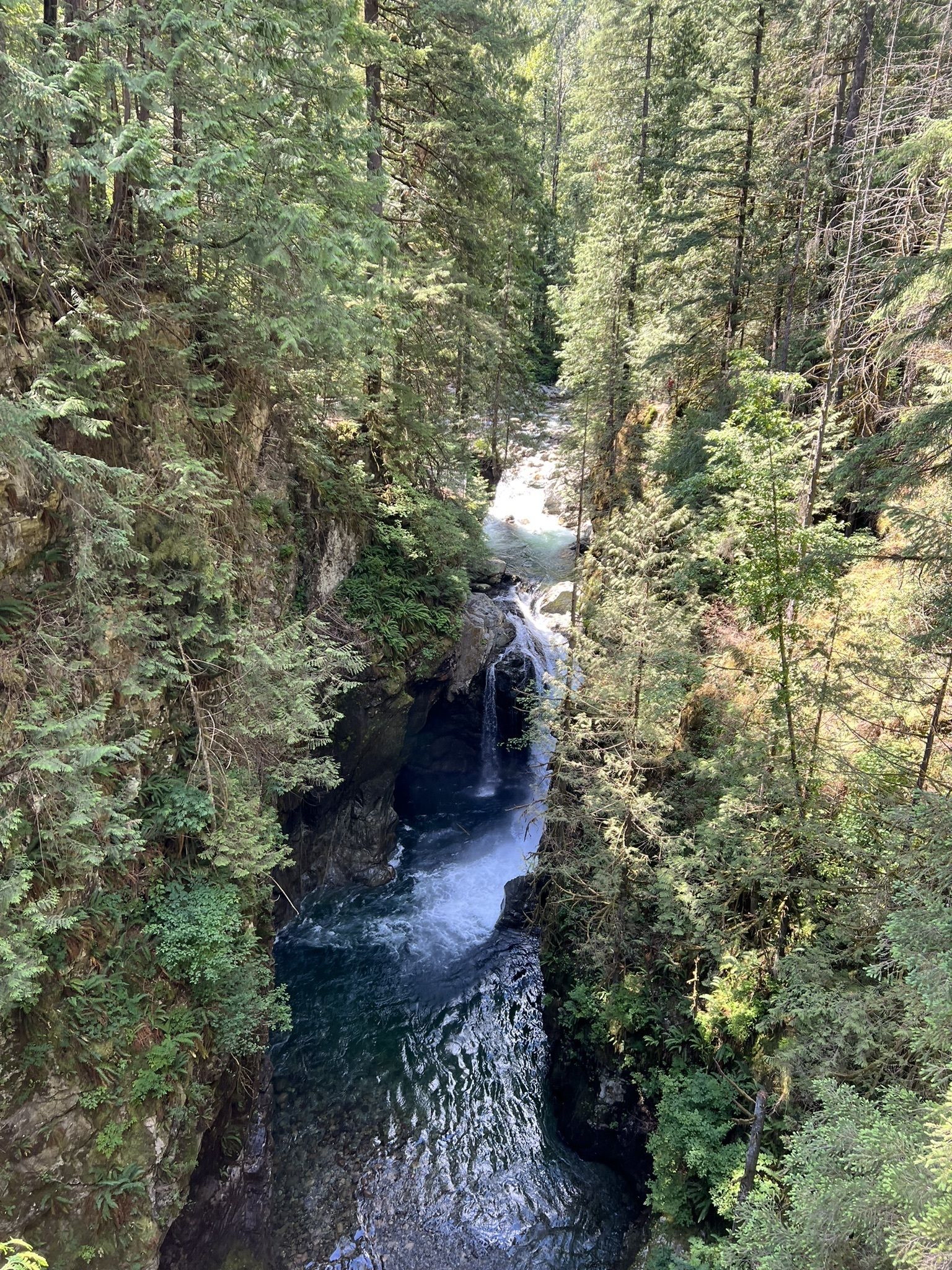 Lynn Canyon Suspension Bridge
