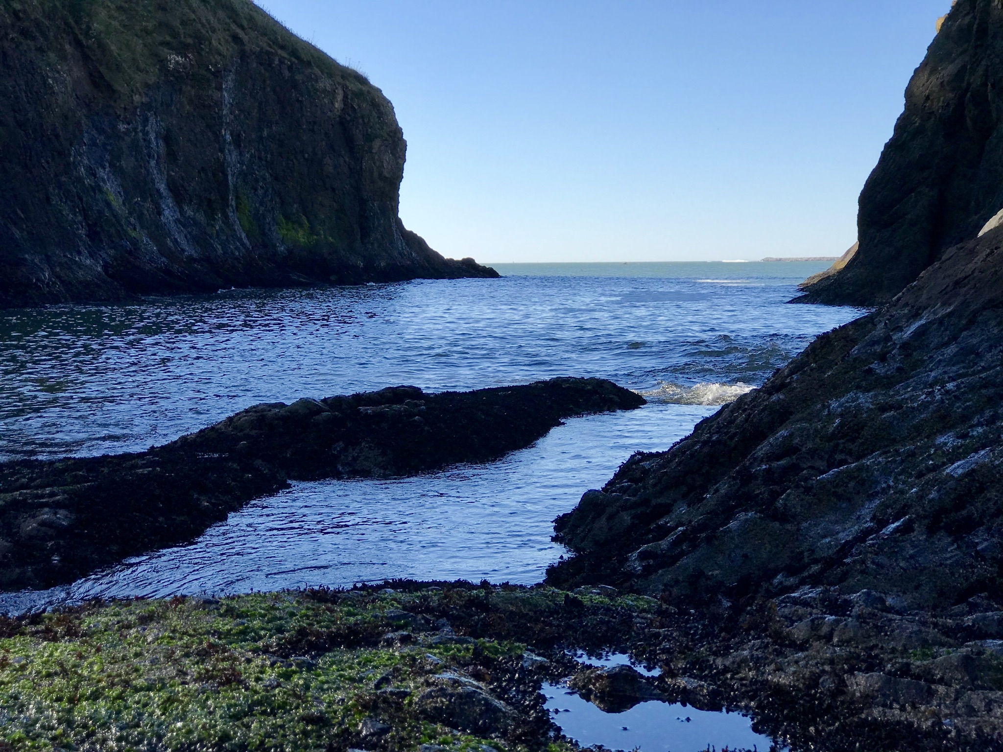 Cape Disappointment Trail