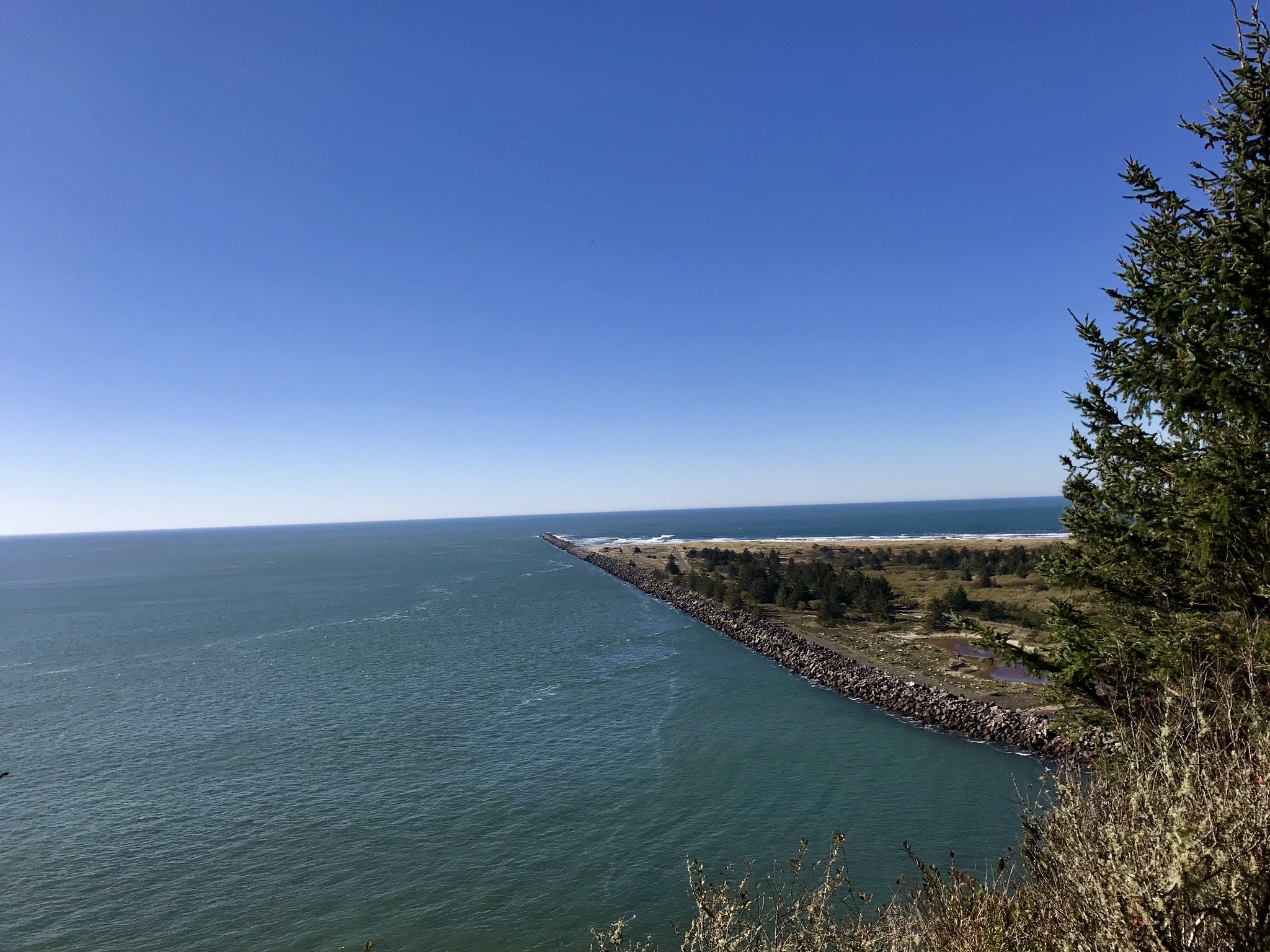 Cape Disappointment Trail