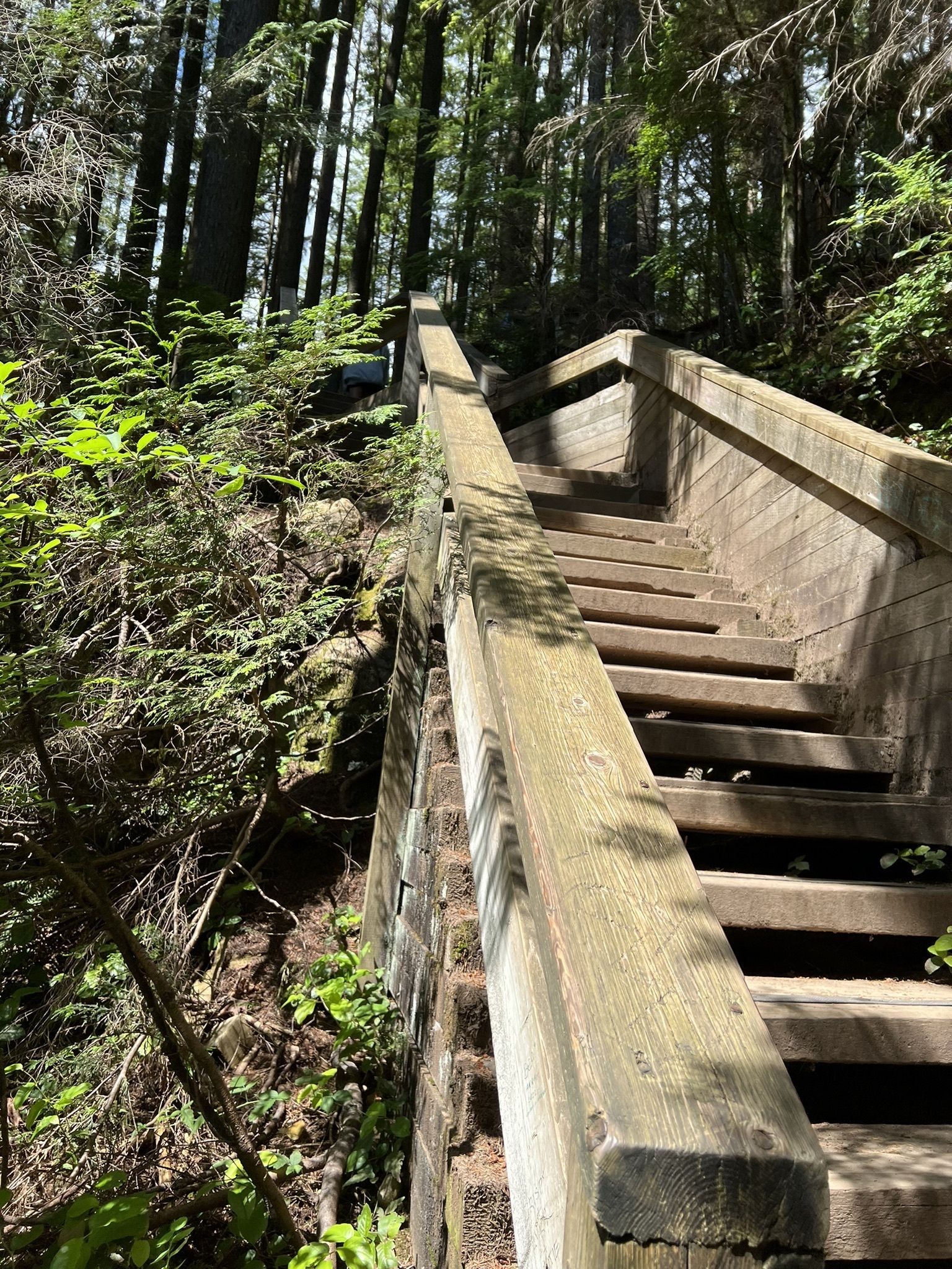 Lynn Canyon Suspension Bridge