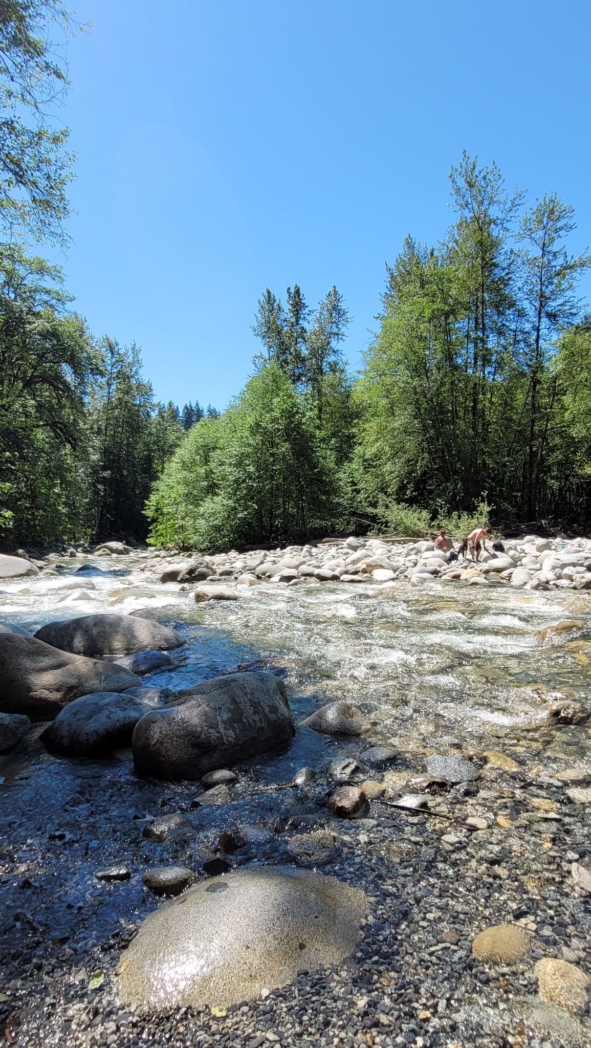 Lynn Canyon Suspension Bridge