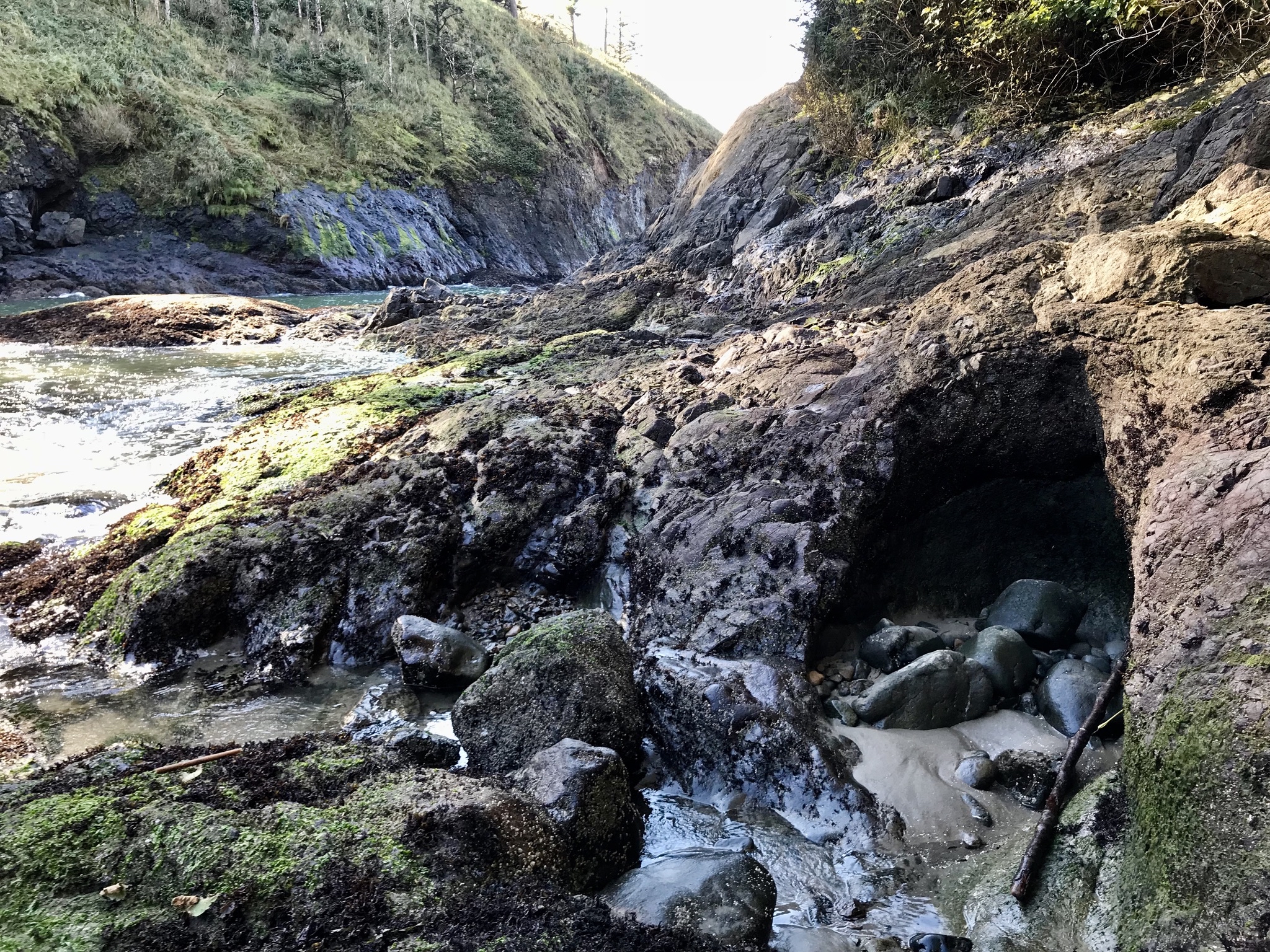 Cape Disappointment Trail