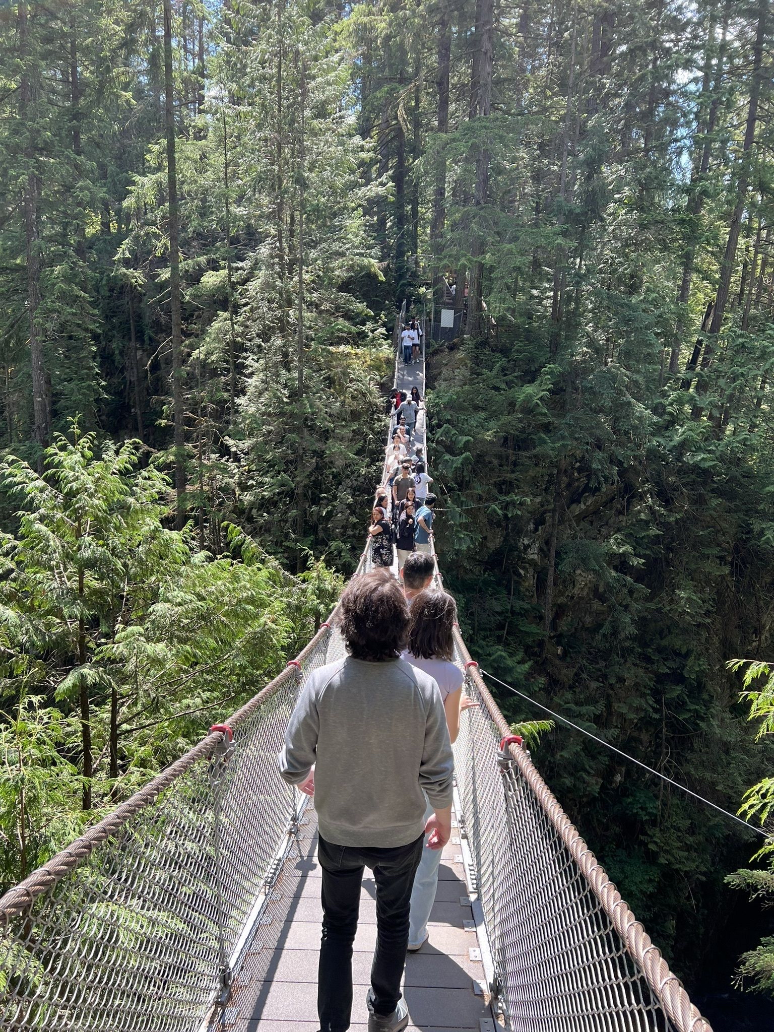 Lynn Canyon Suspension Bridge