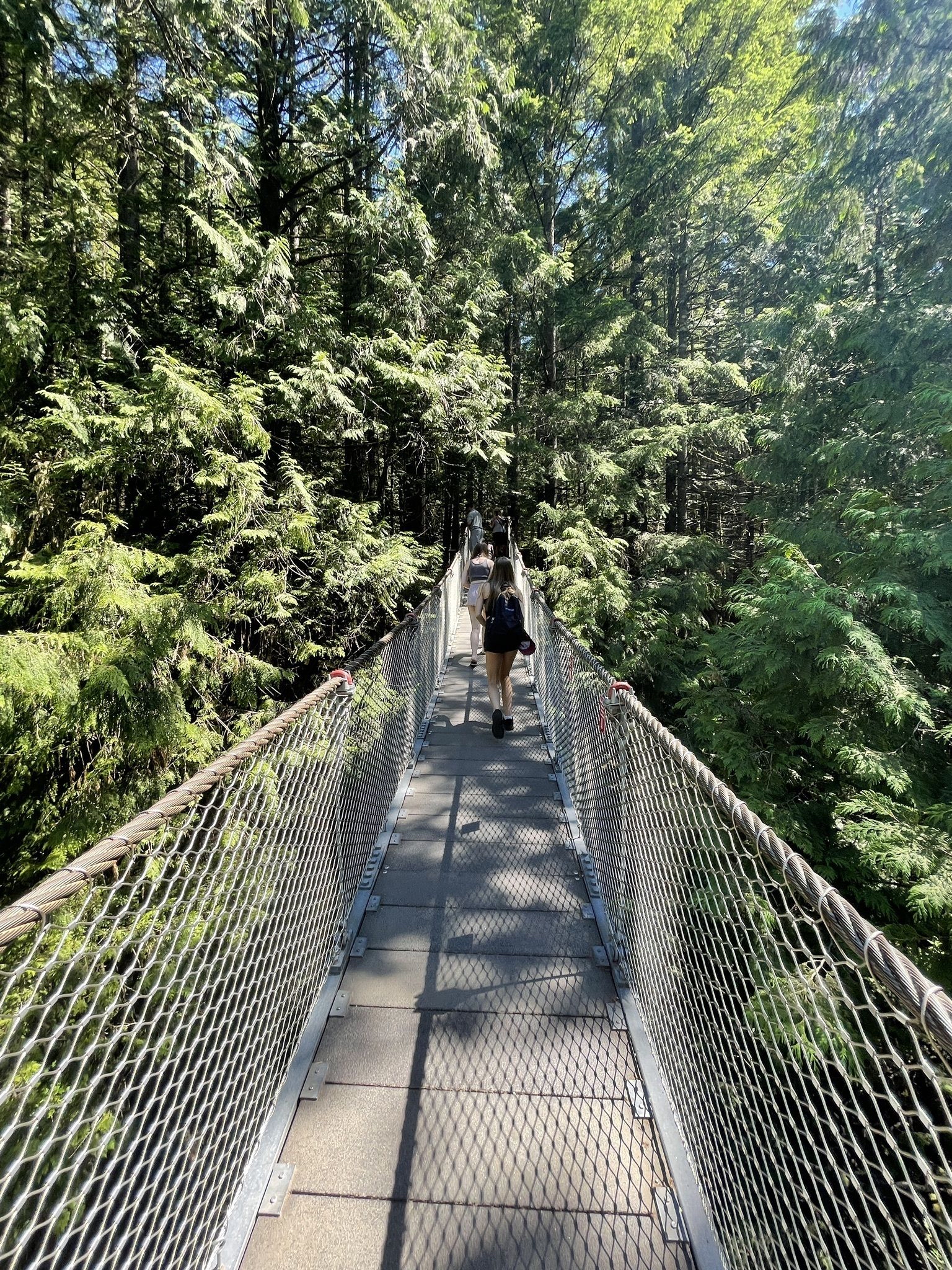 Lynn Canyon Suspension Bridge