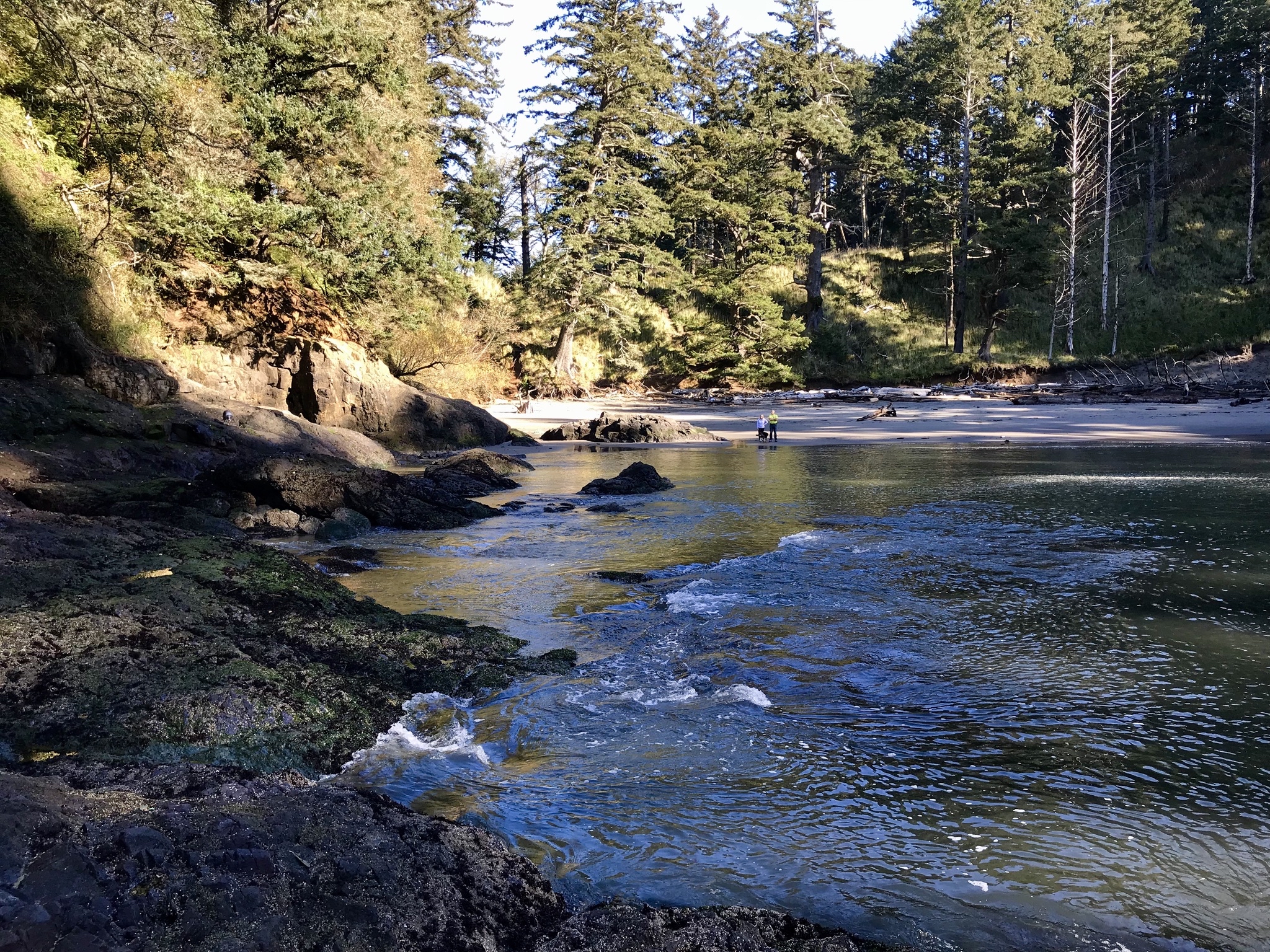 Cape Disappointment Trail