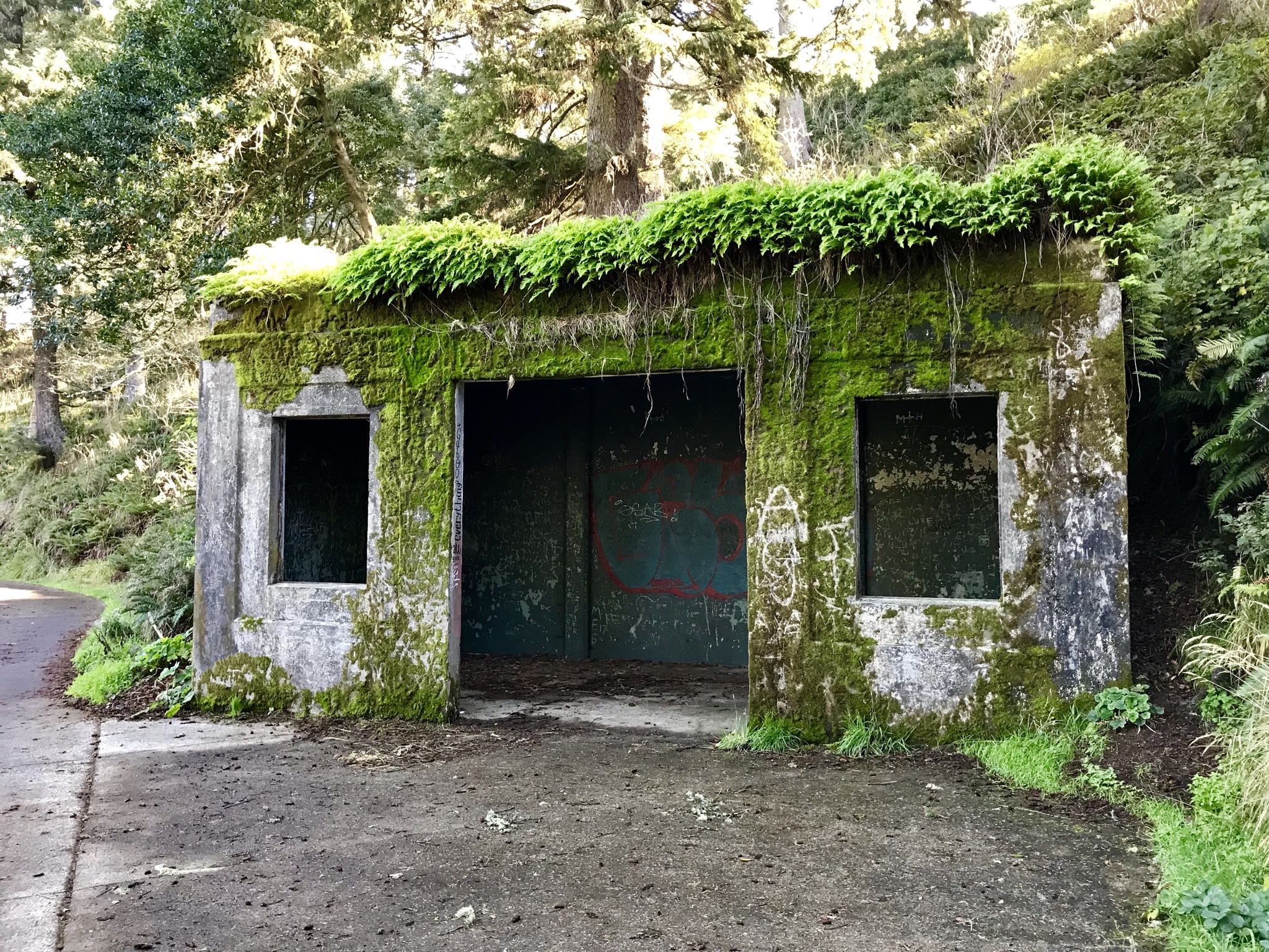 Cape Disappointment Trail