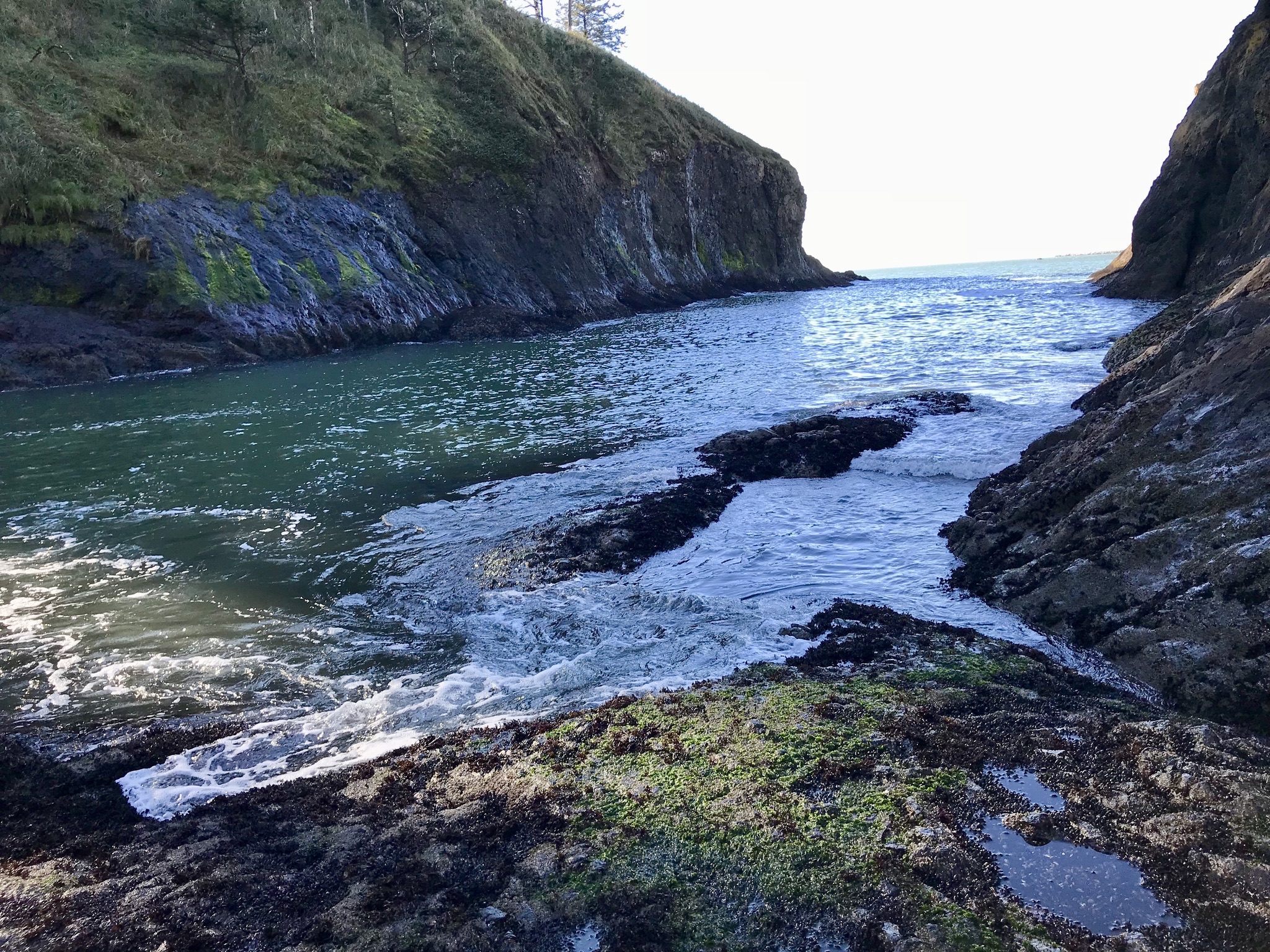 Cape Disappointment Trail