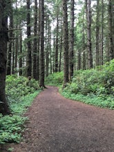 Octopus Tree Trail