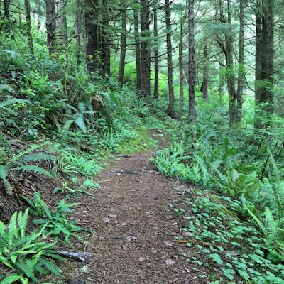 Big Spruce Trail