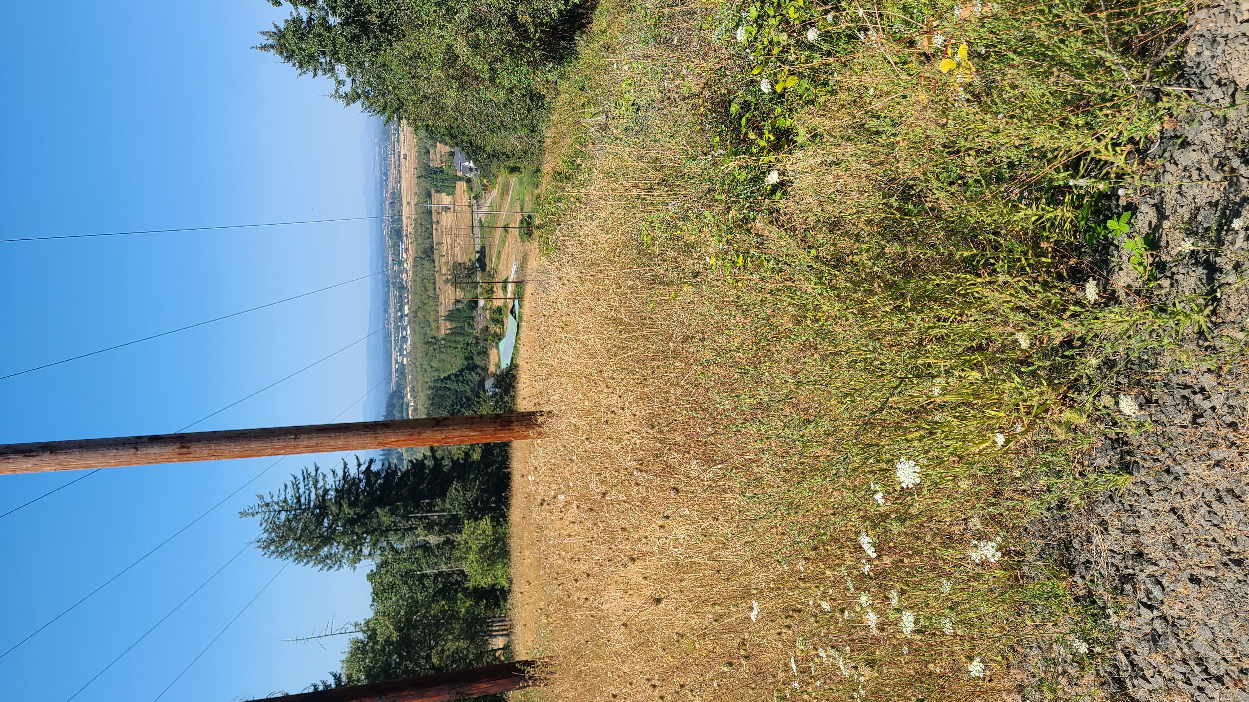 Wild Iris Ridge Loop from Summit Sky Boulevard
