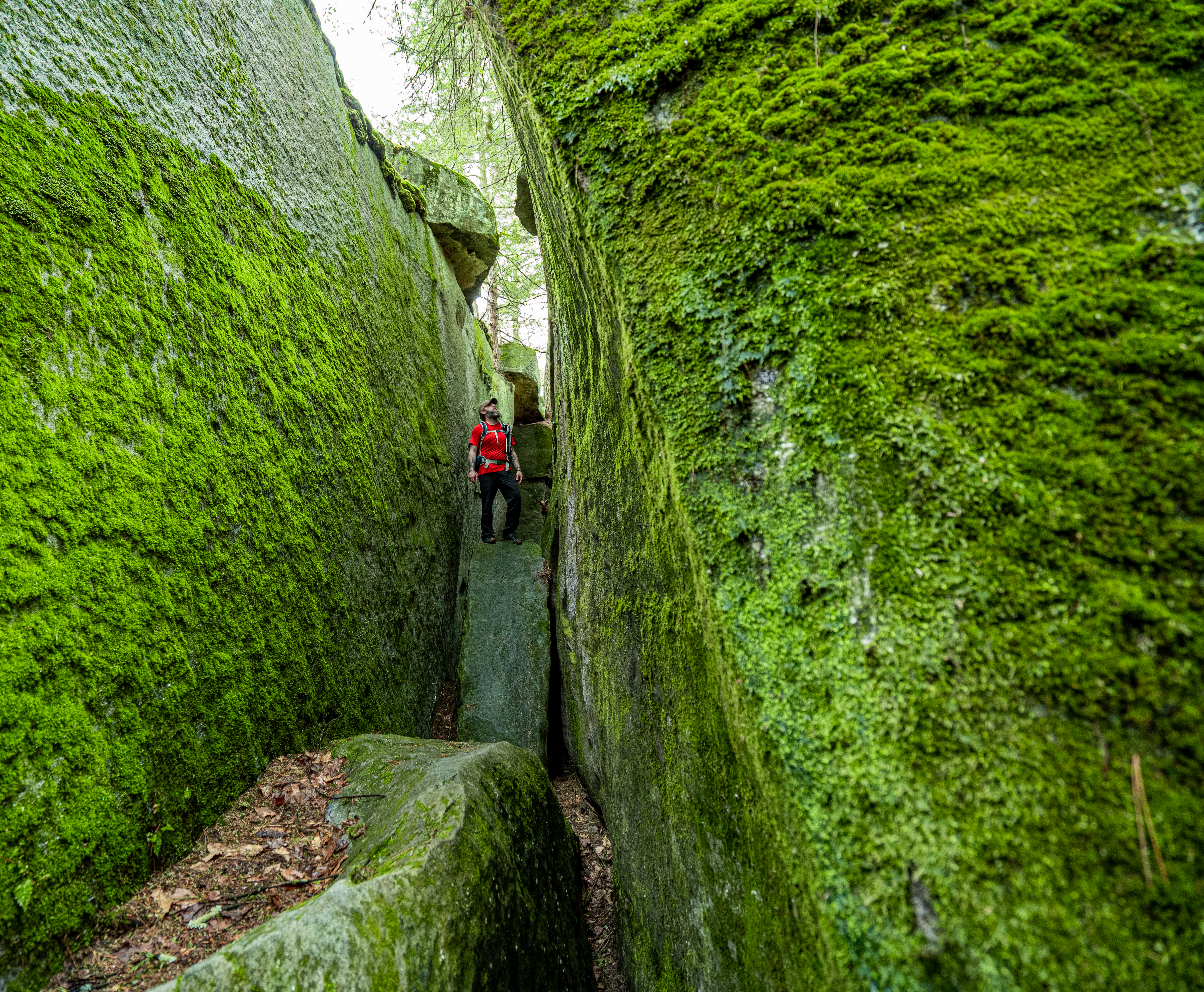 Fred Woods Trail