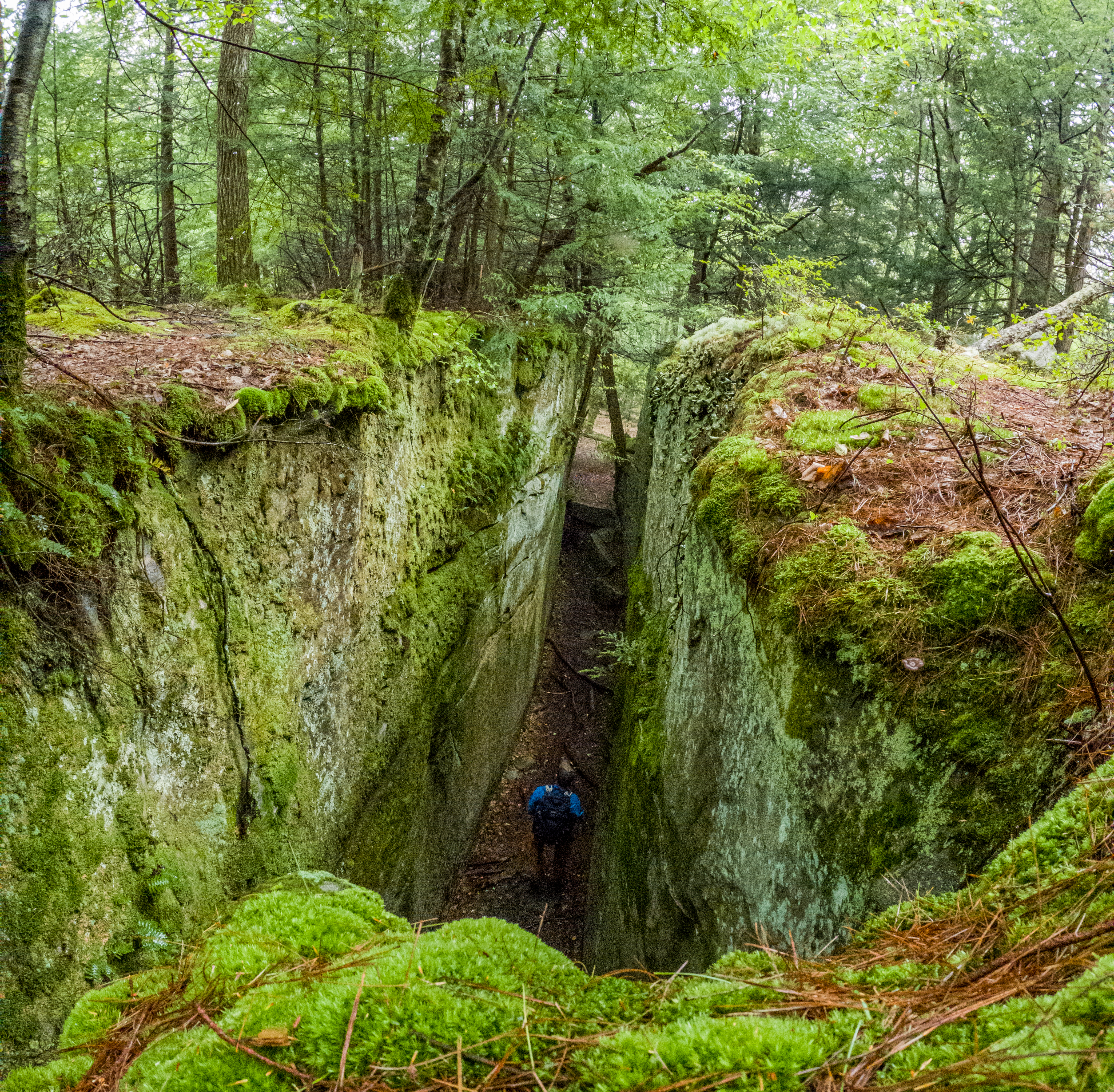 Fred Woods Trail