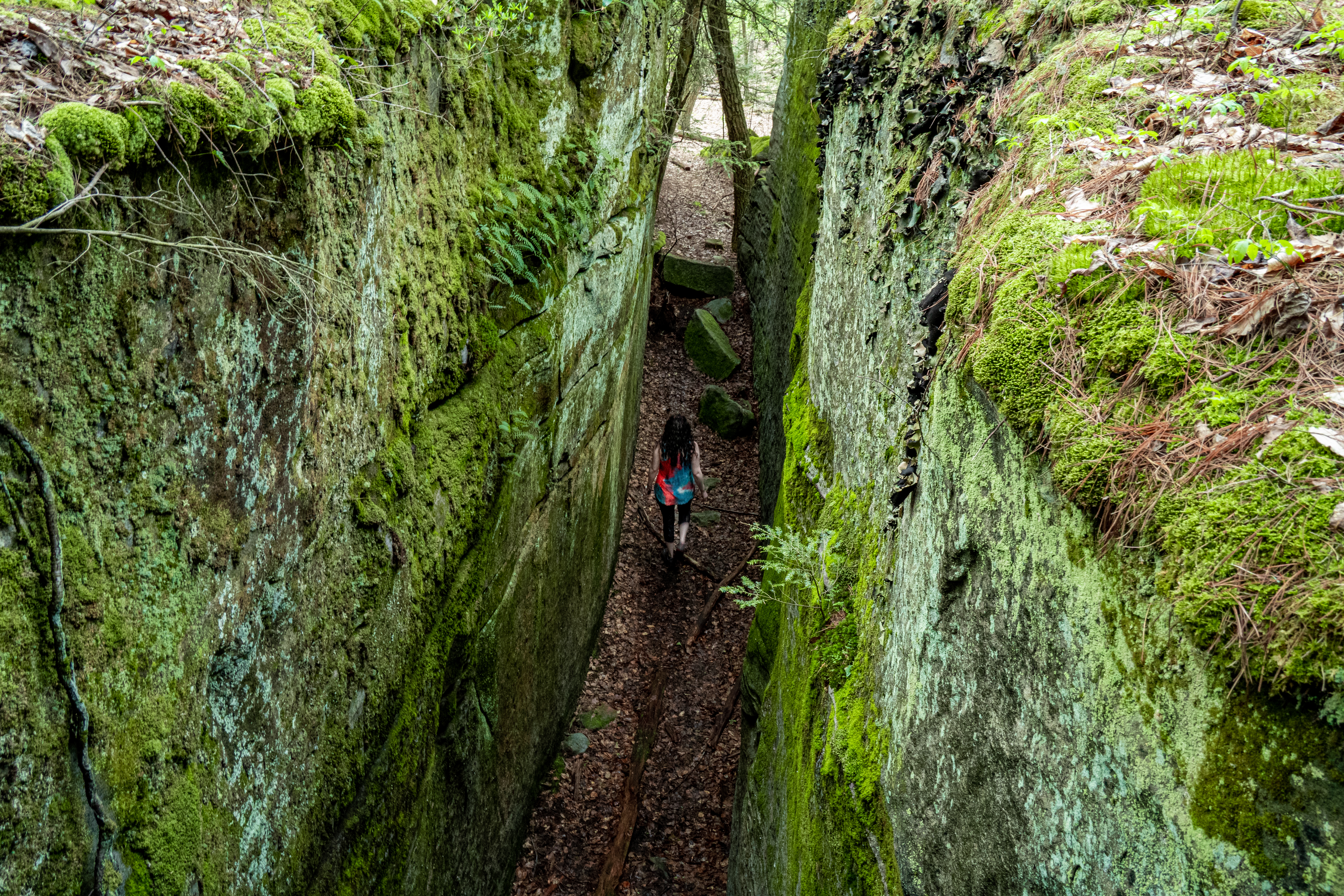 Fred Woods Trail