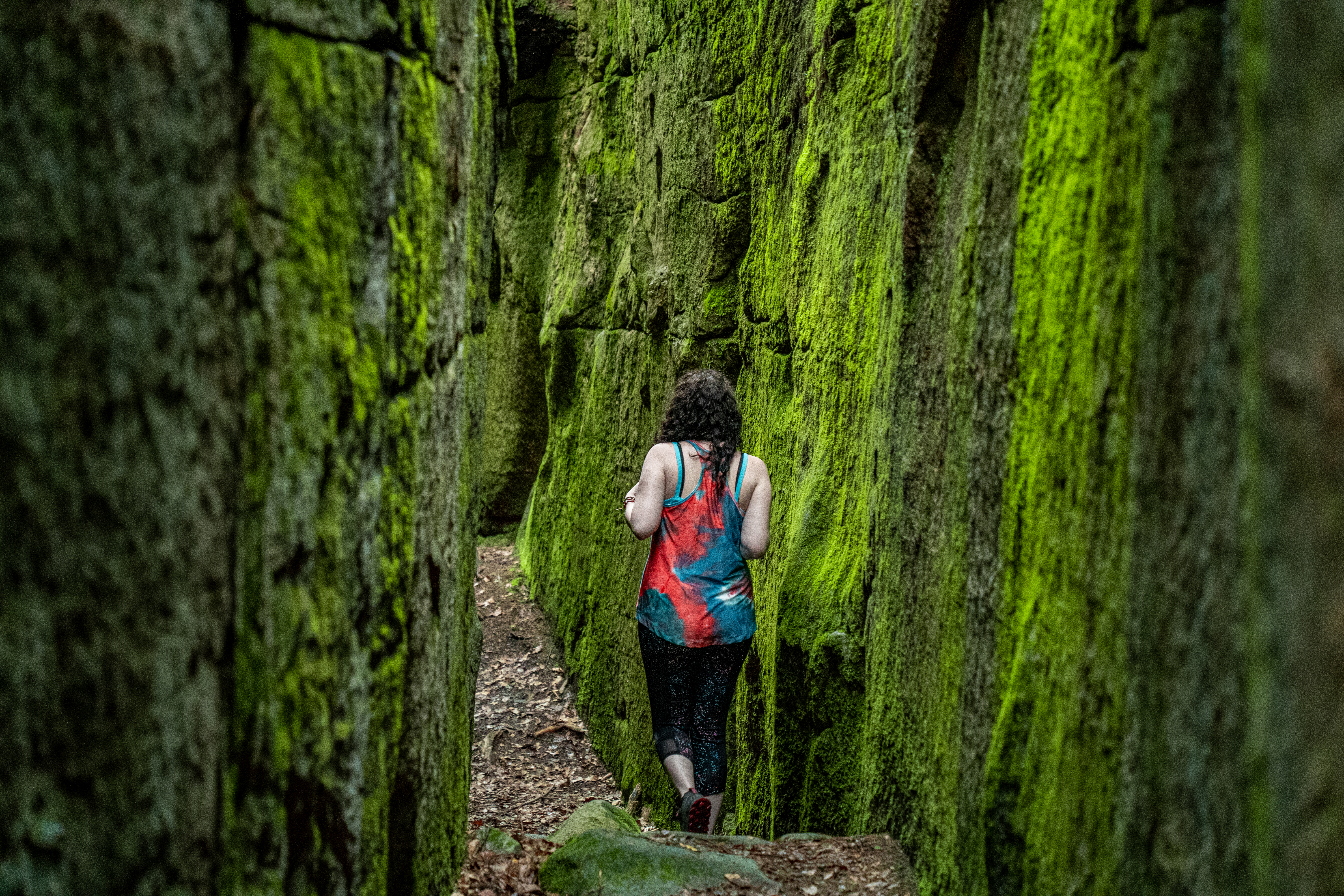 Fred Woods Trail