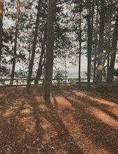 Wetmore Landing Shoreline Trail