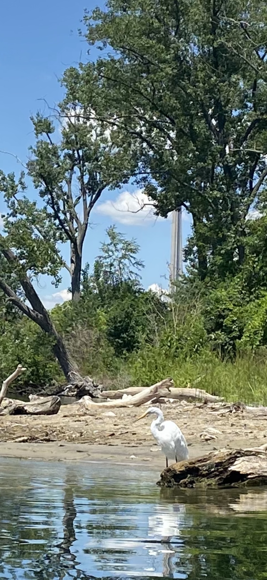 Explore Toronto Island