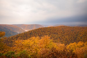 Bob Webber Trail