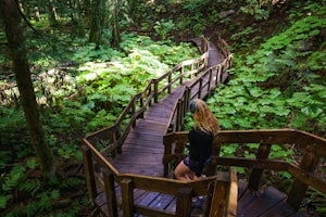 Giant Cedars Boardwalk 