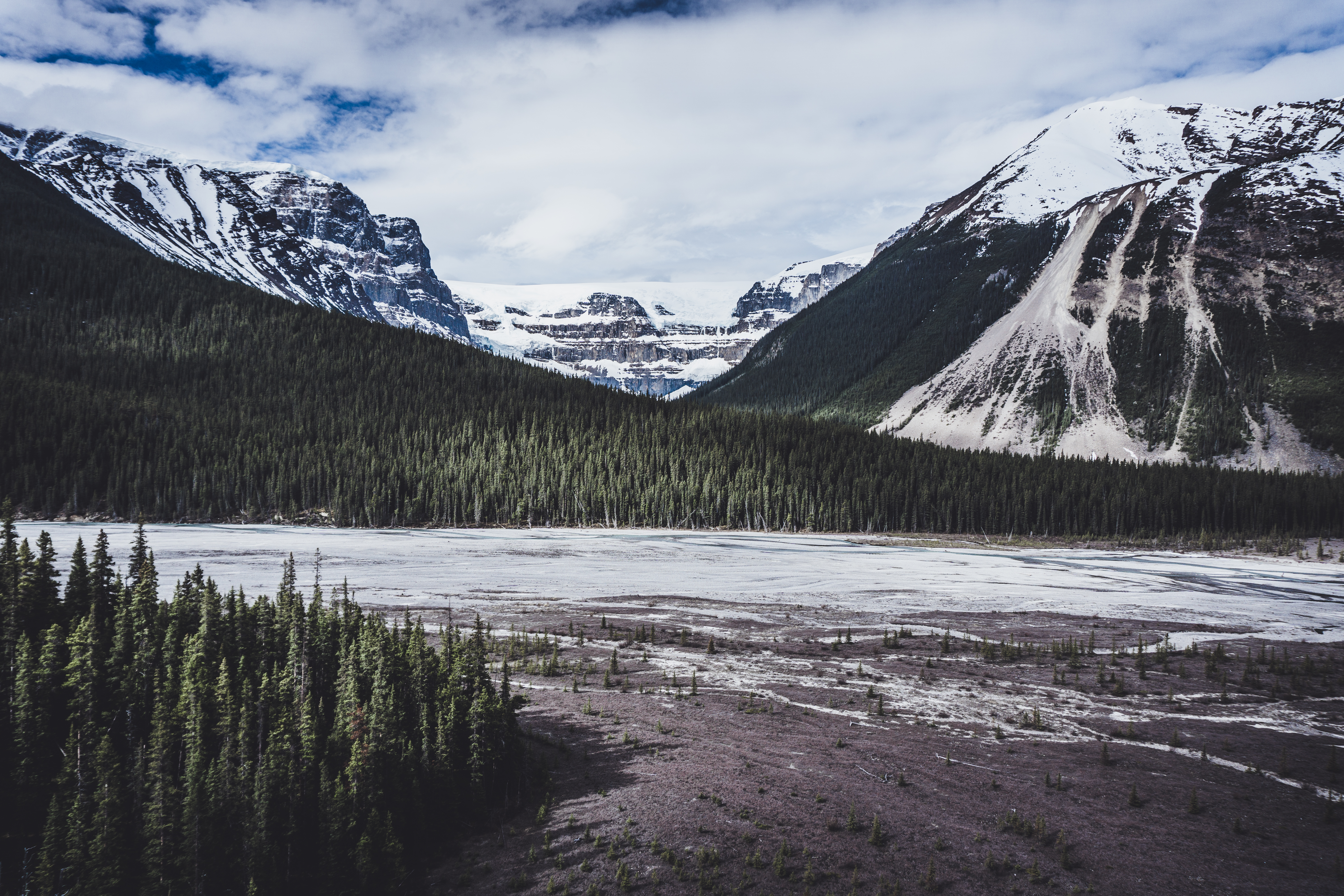 Drive the Icefields Parkway
