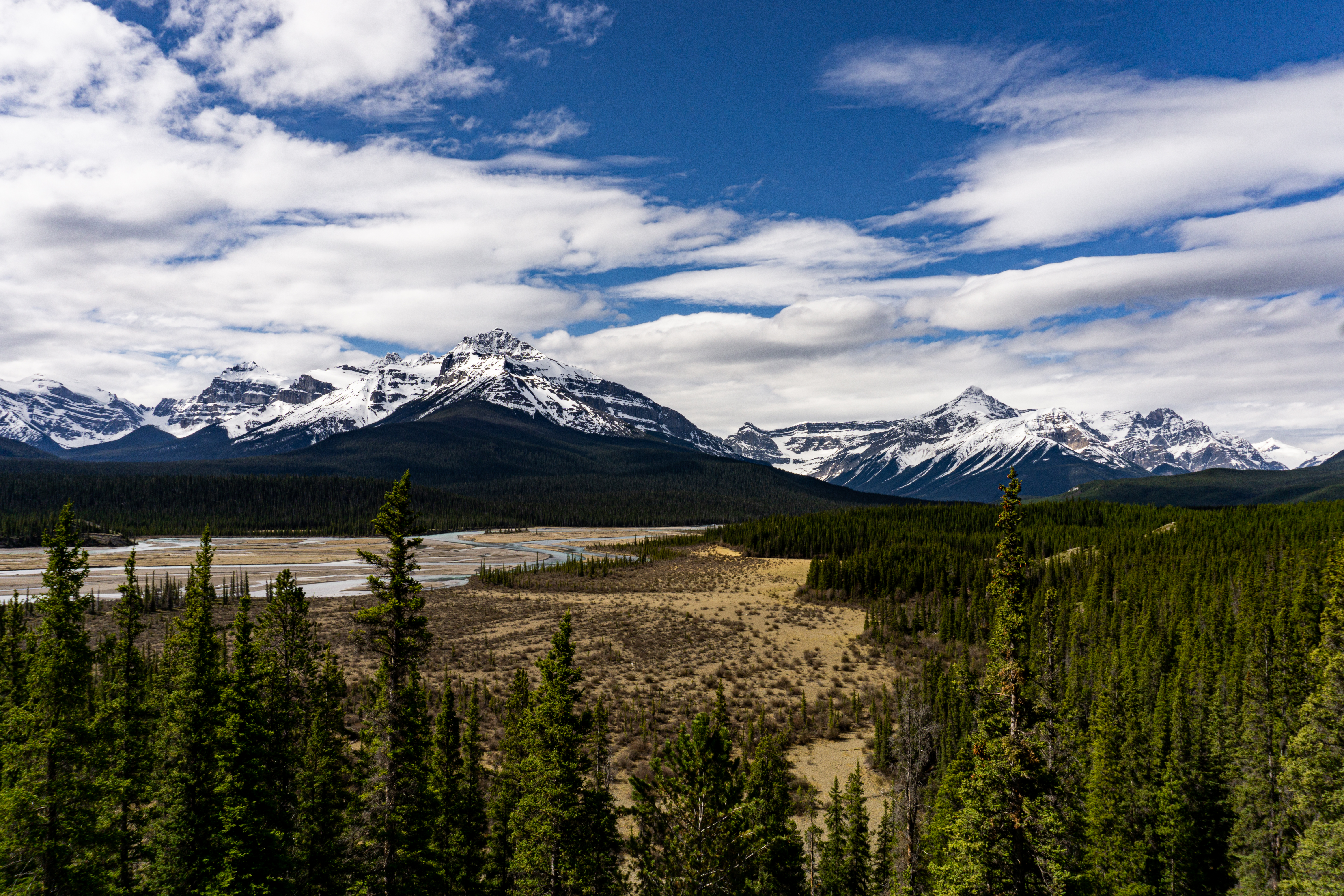 Drive the Icefields Parkway