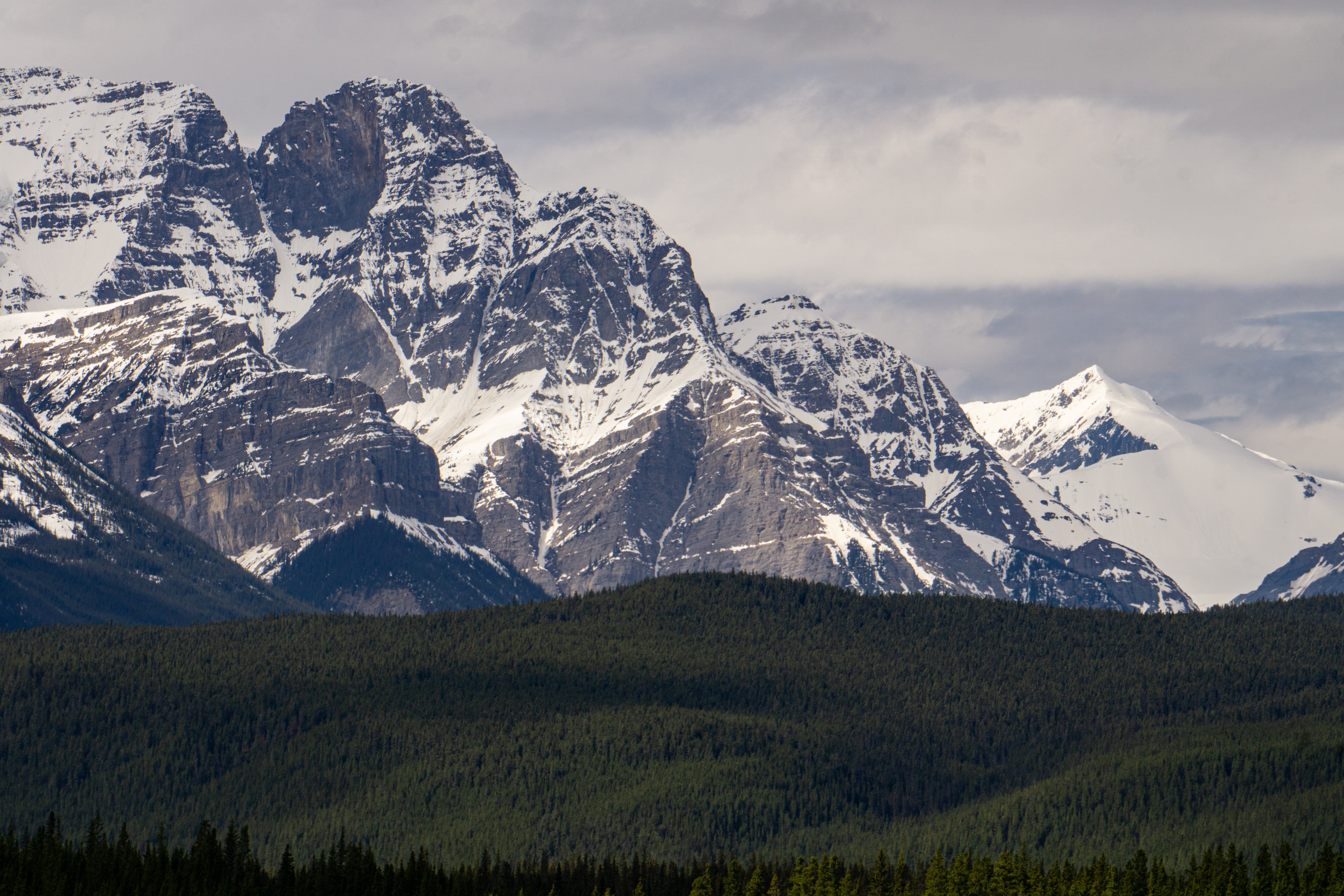 Drive the Icefields Parkway