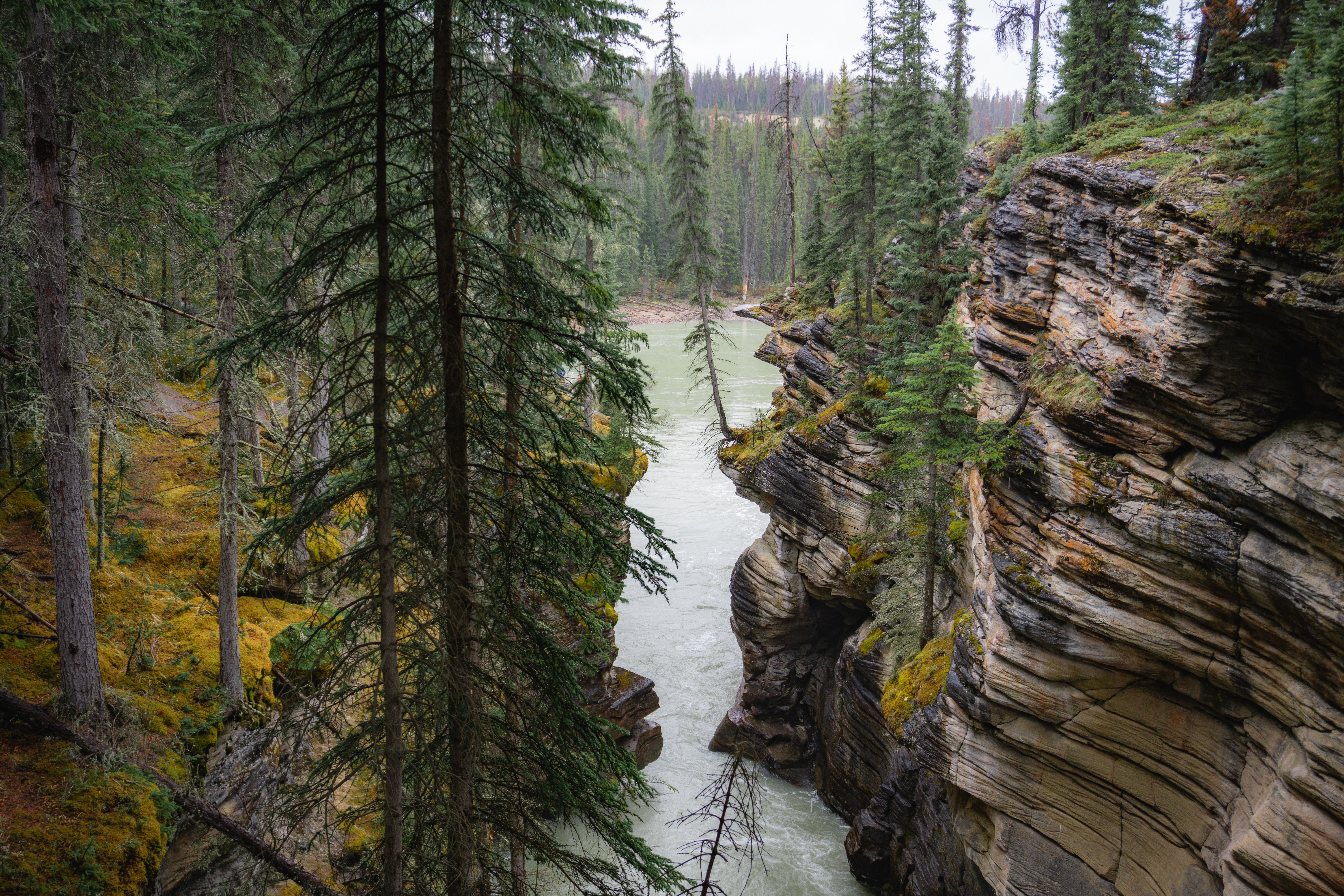 Athabasca Falls