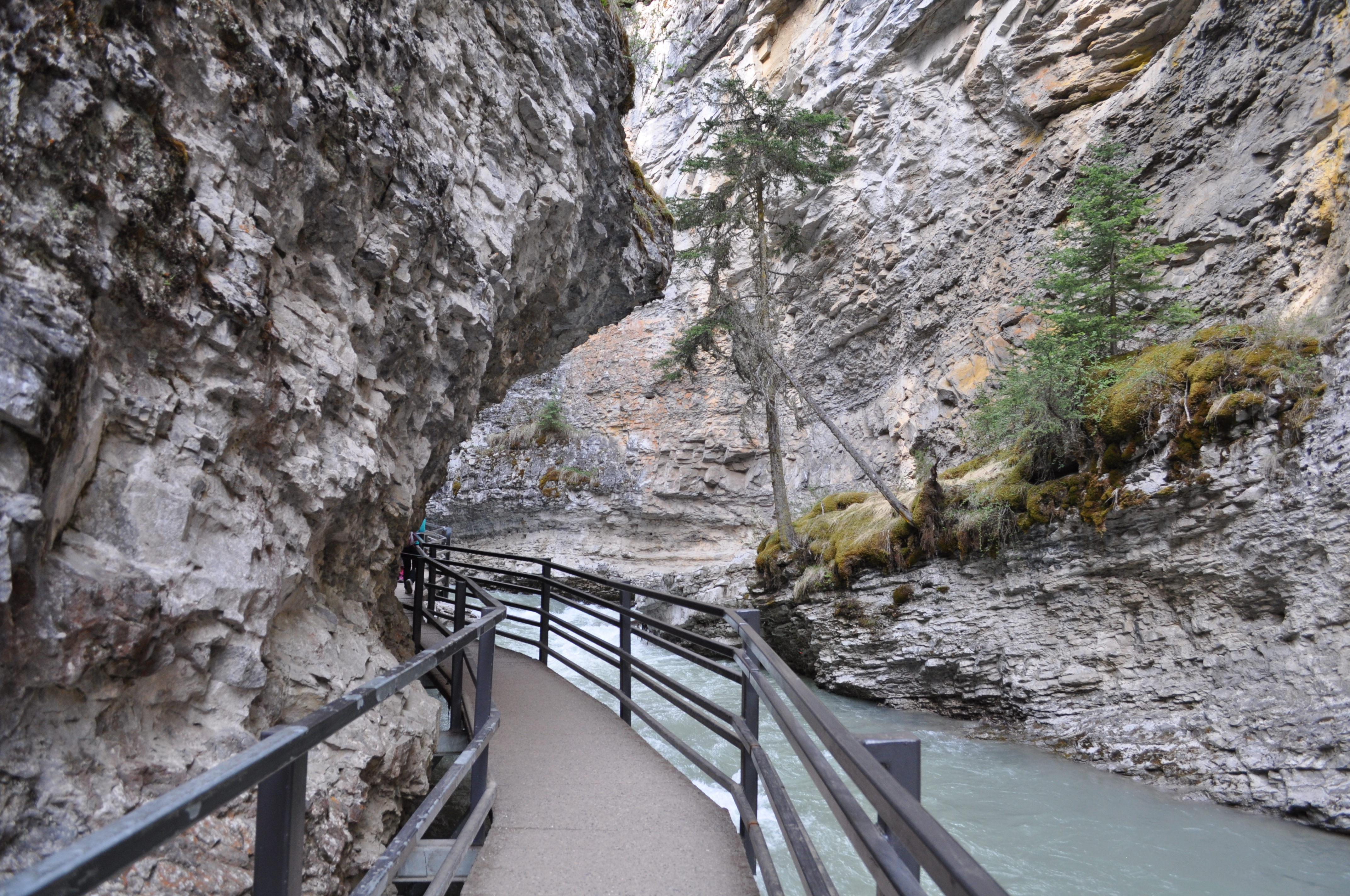 Johnston Canyon Lower and Upper Falls