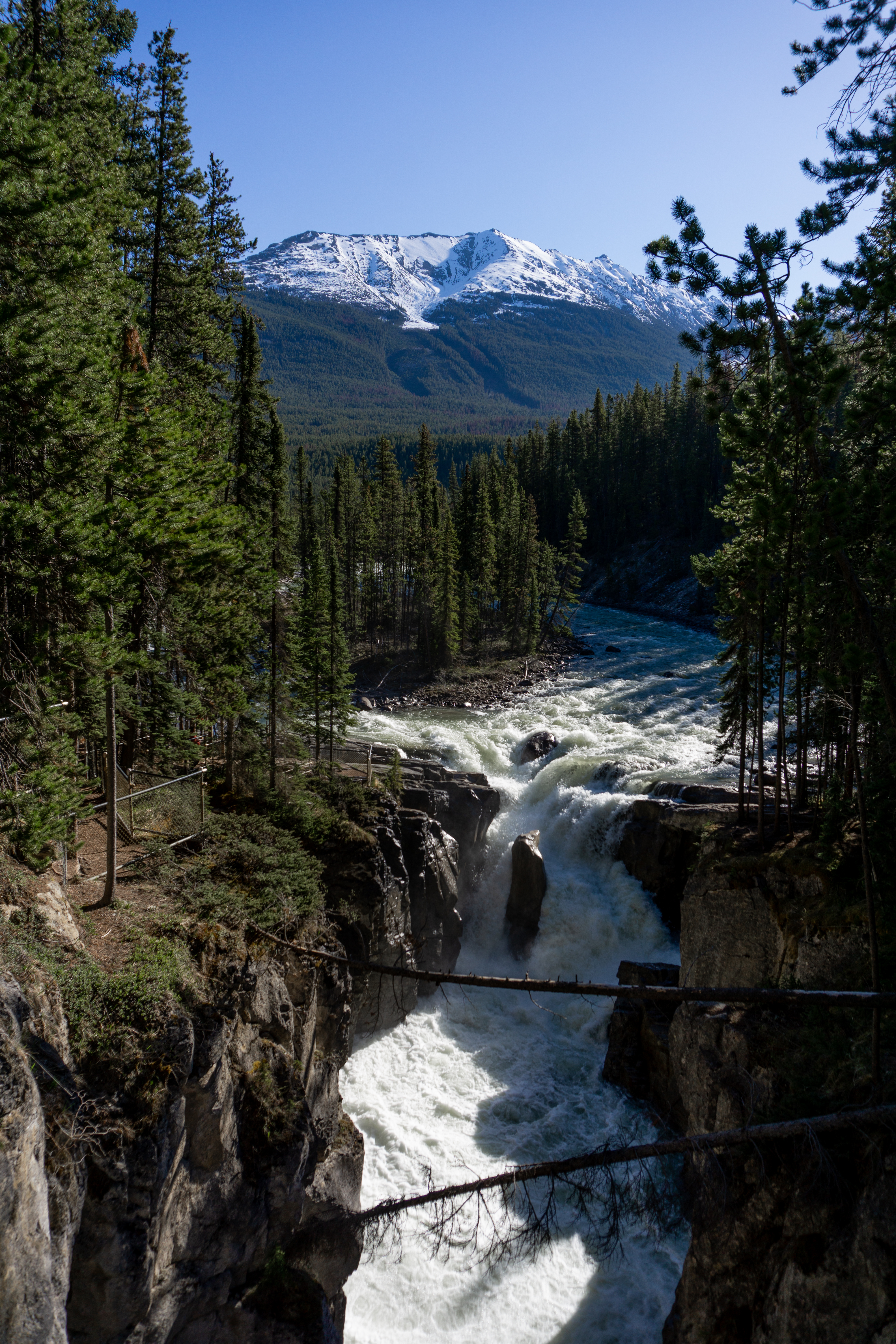 Sunwapta Falls