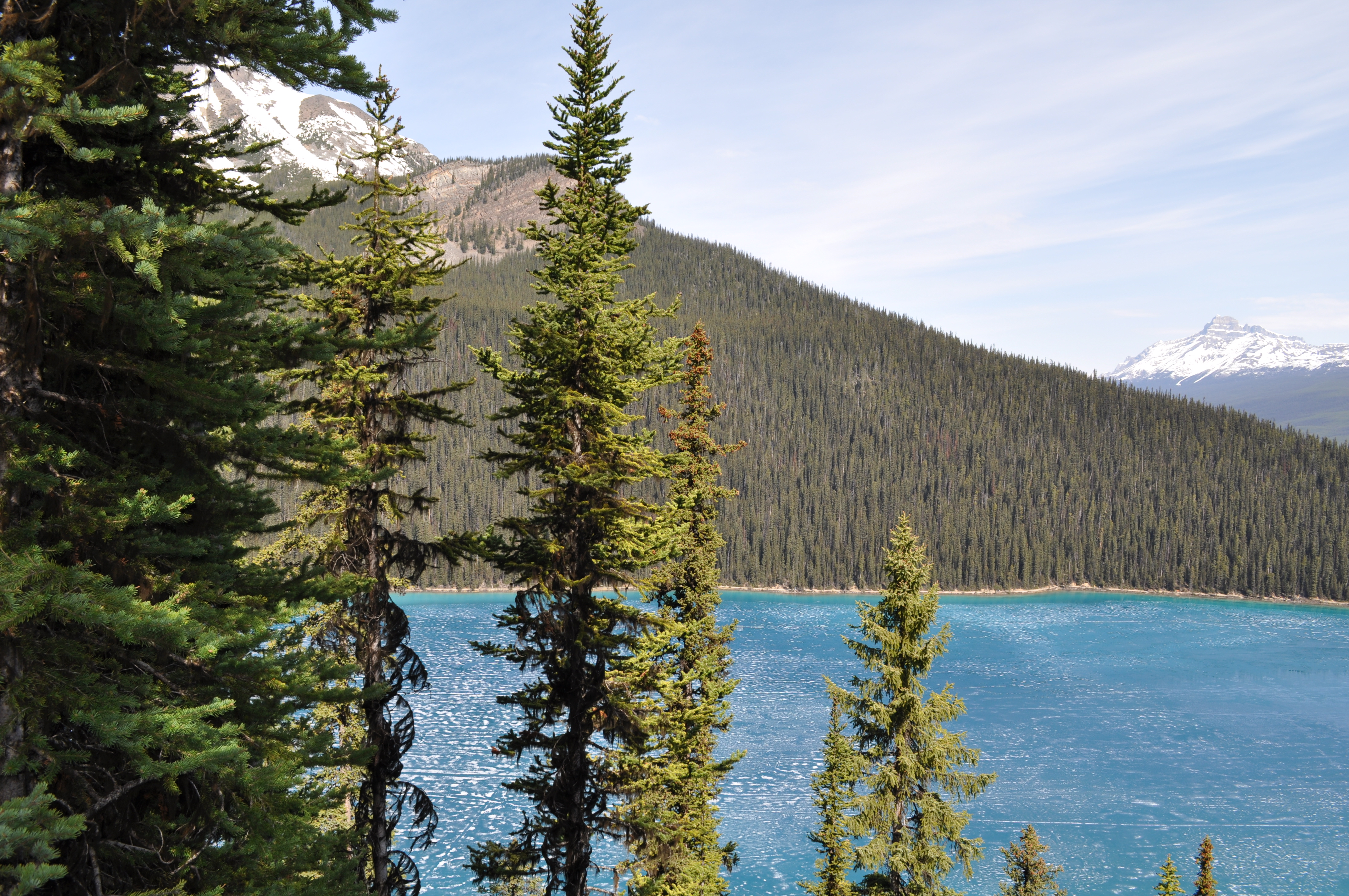 Hike to the Lake Louise Overlook