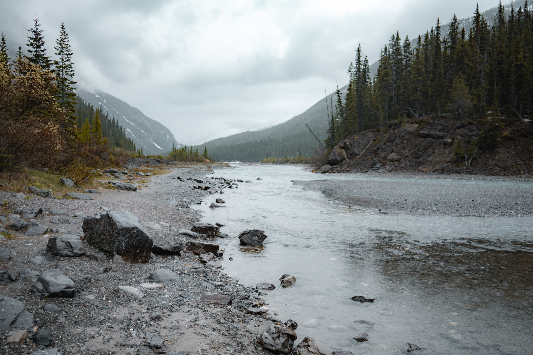Drive the Icefields Parkway