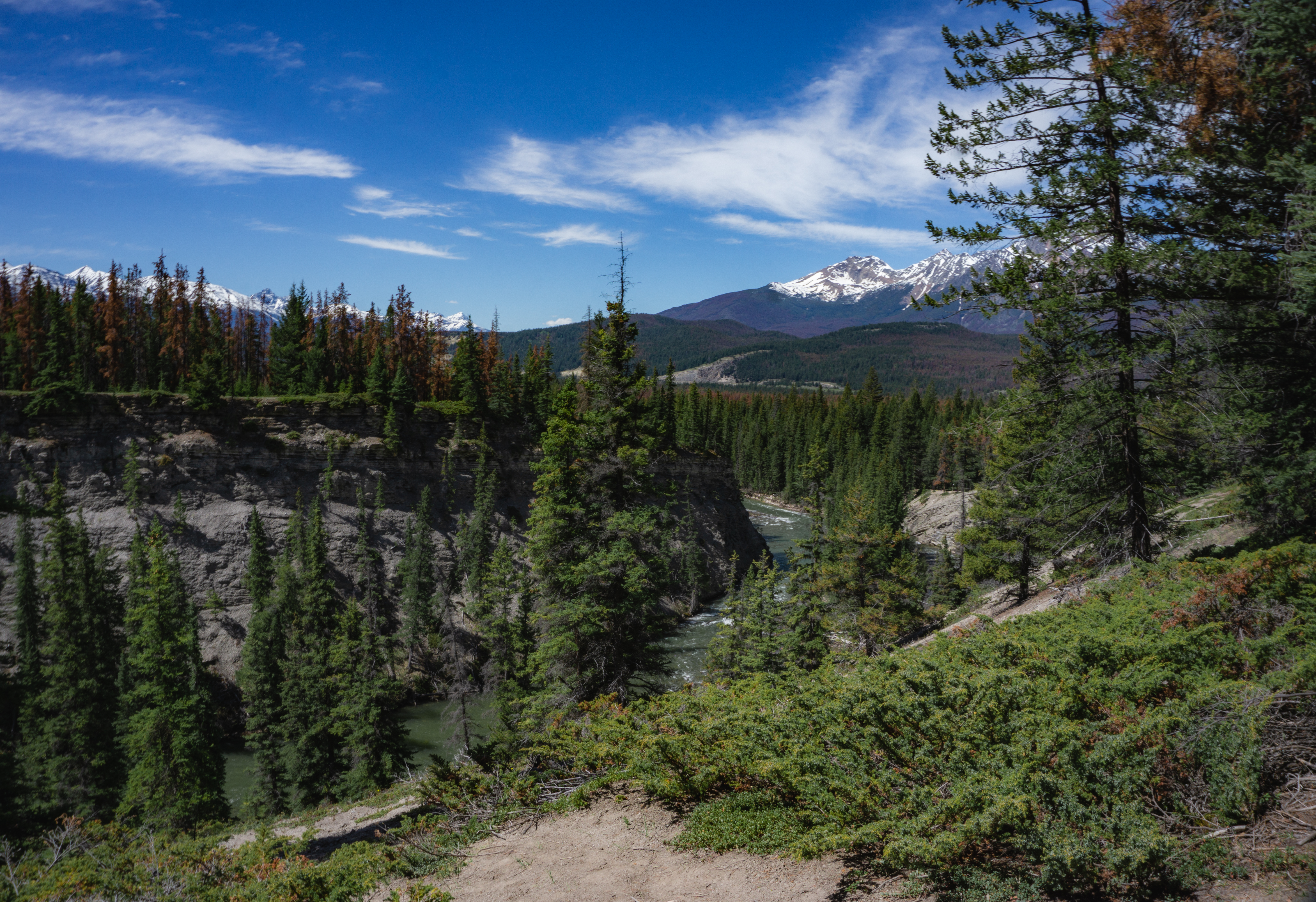 Maligne Canyon