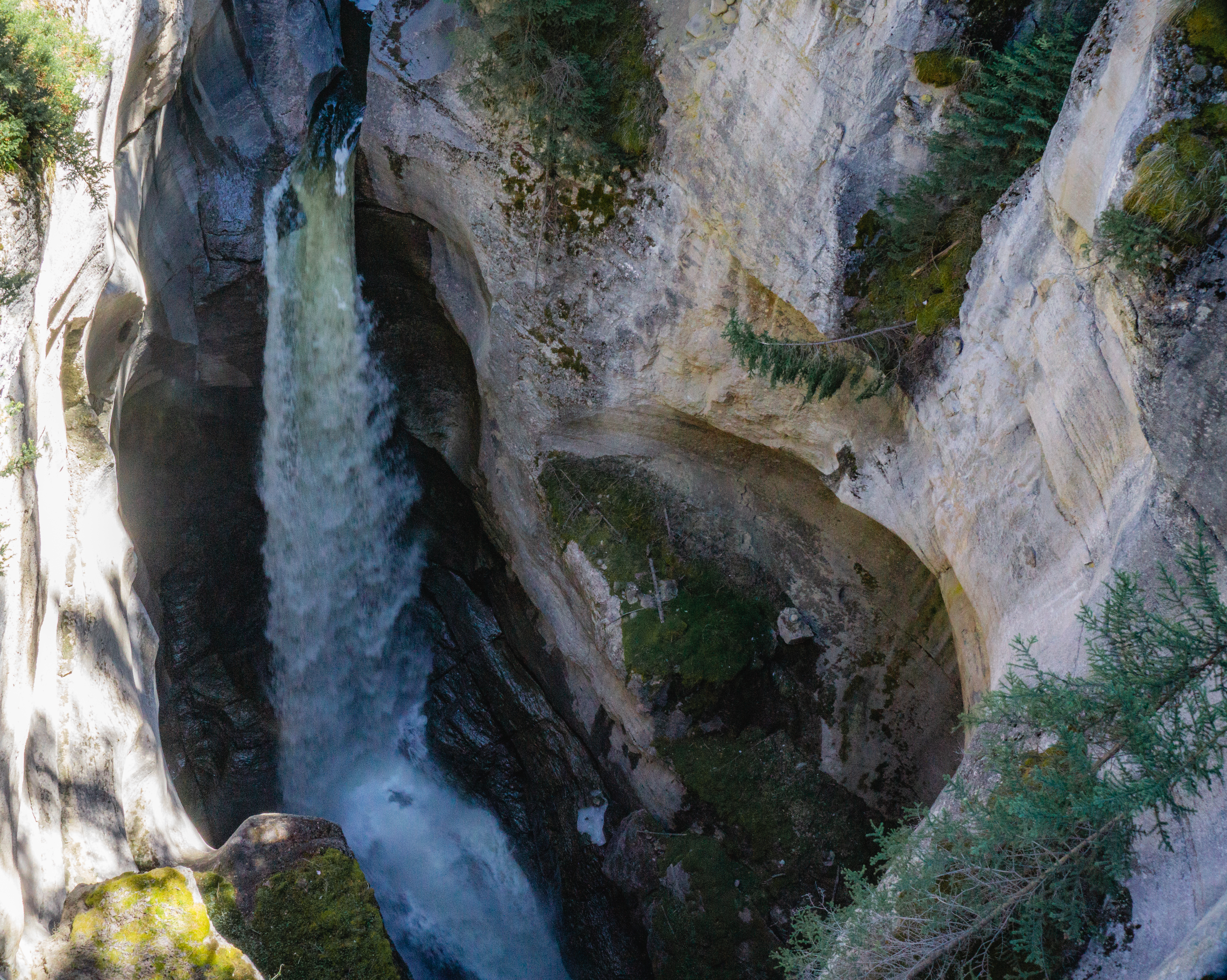 Maligne Canyon