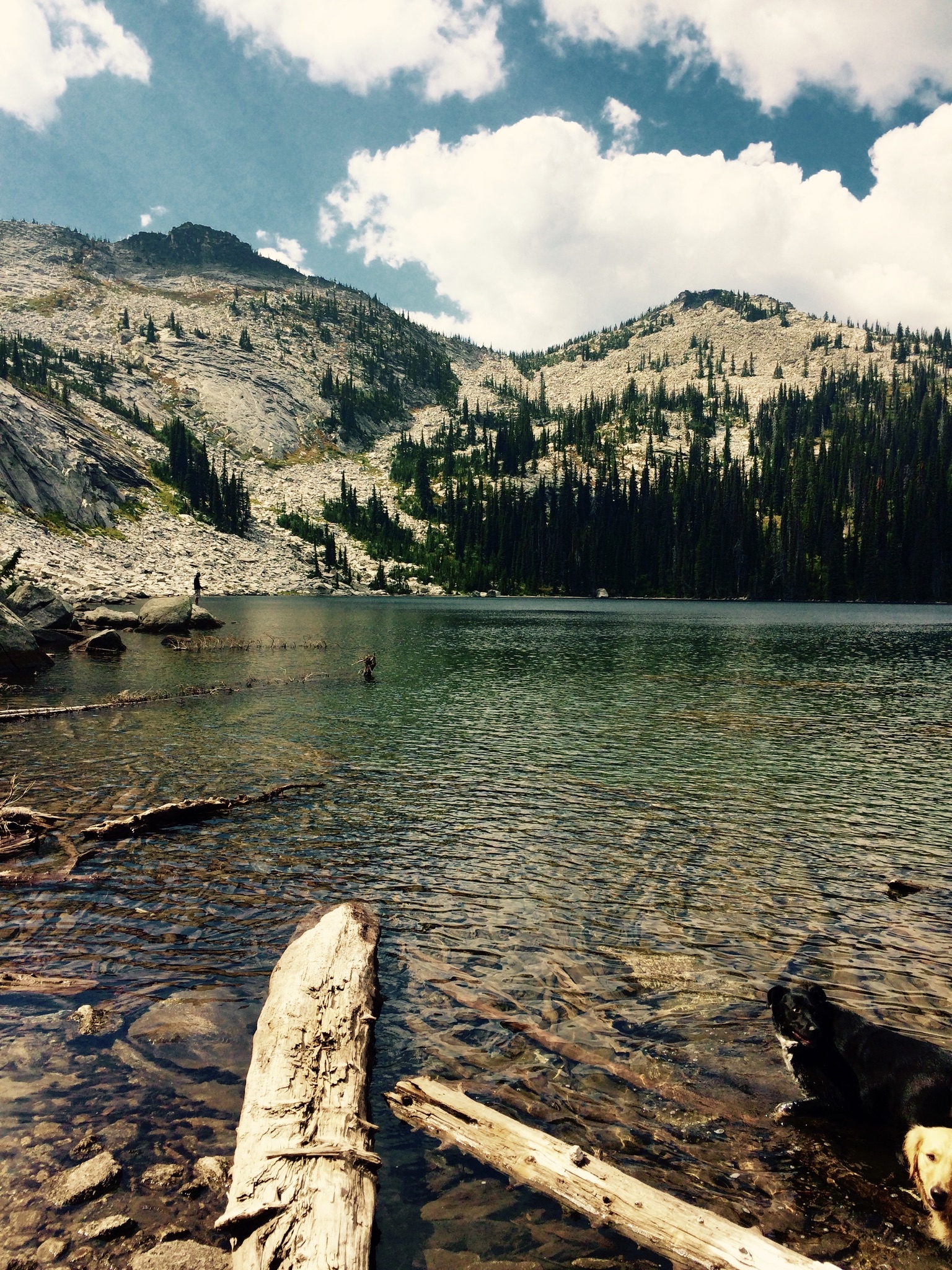 Harrison Lake Trail