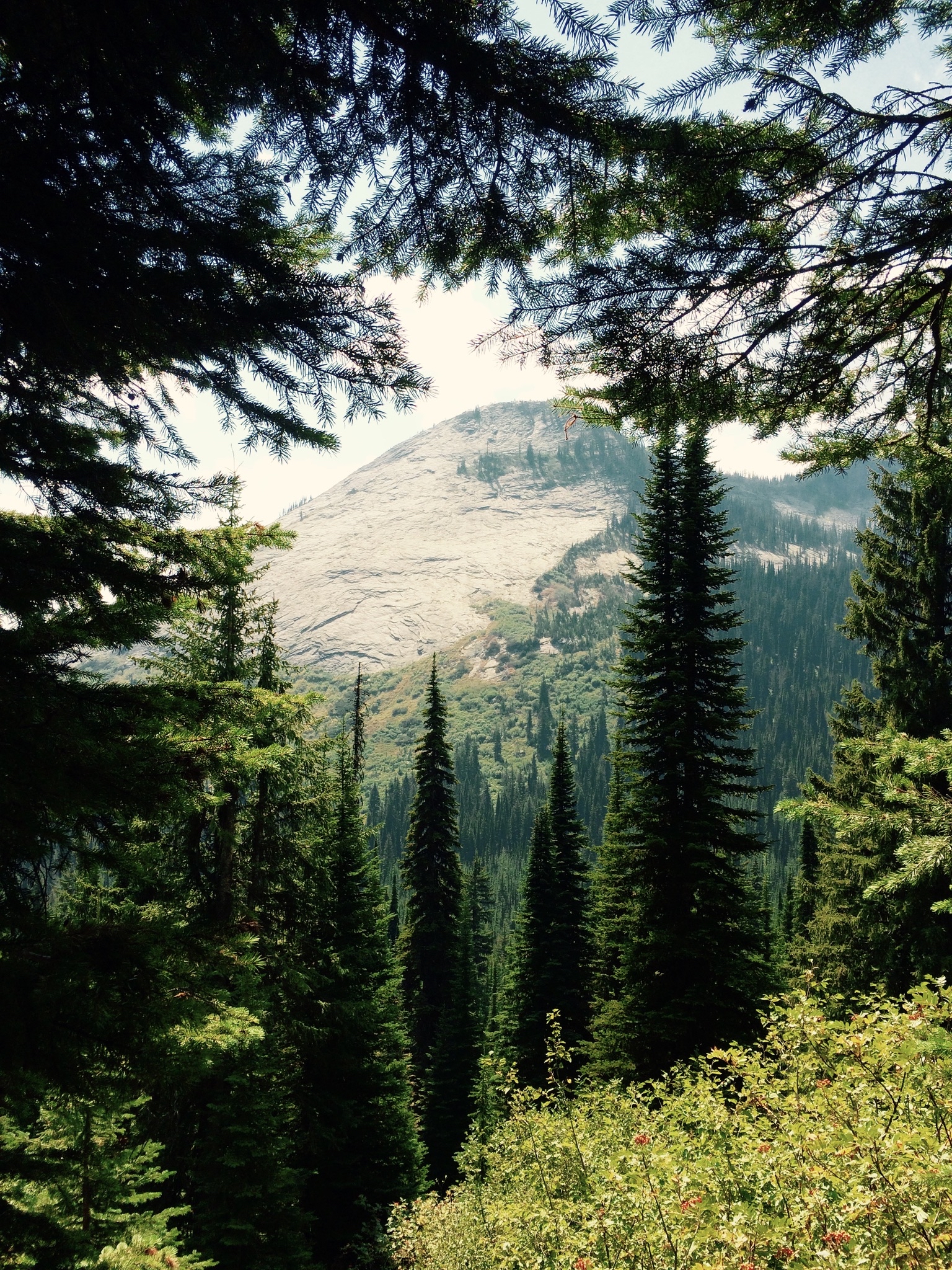 Harrison Lake Trail