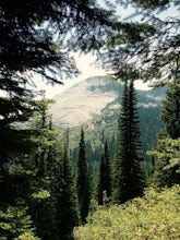 Harrison Lake Trail