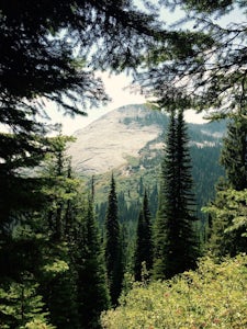Harrison Lake Trail