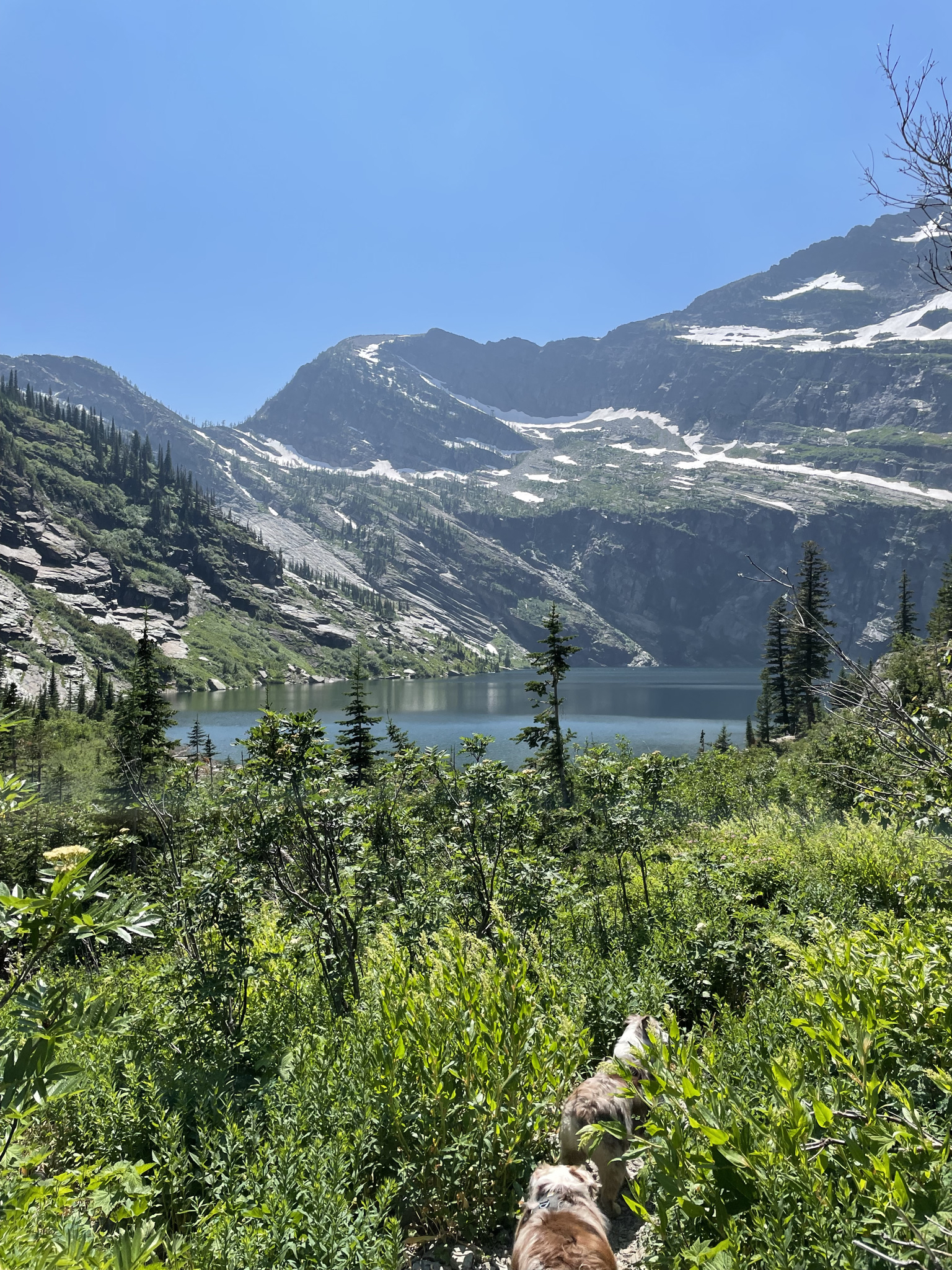 Leigh Lake Trail #132
