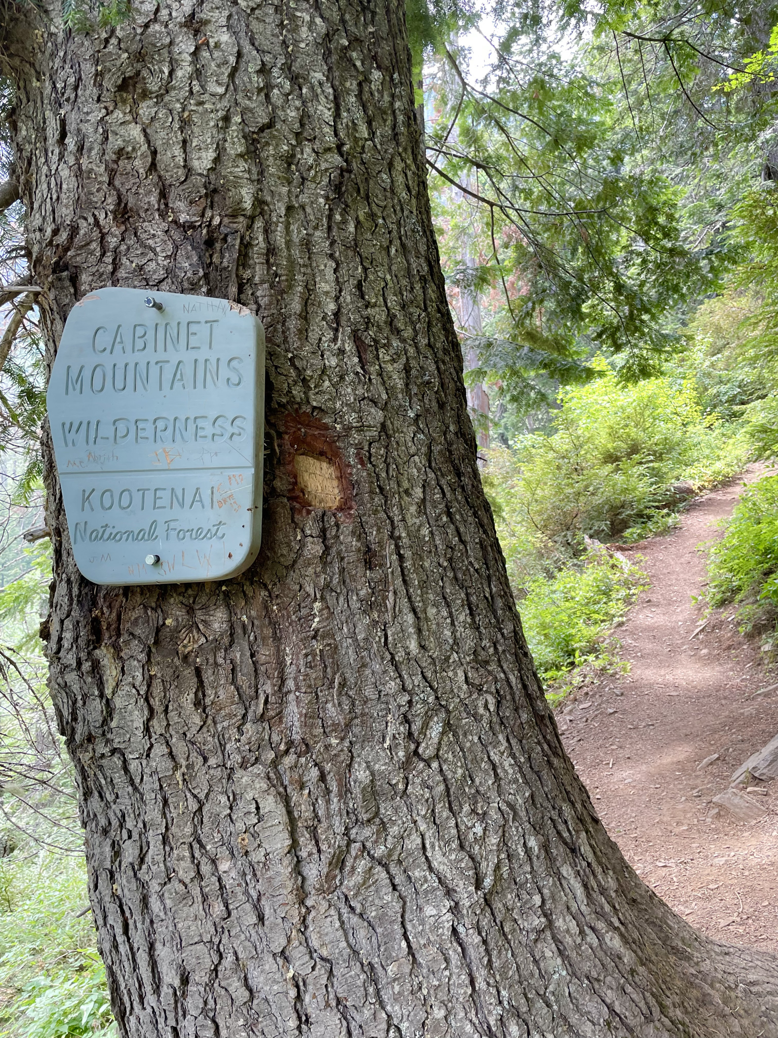 Leigh Lake Trail #132