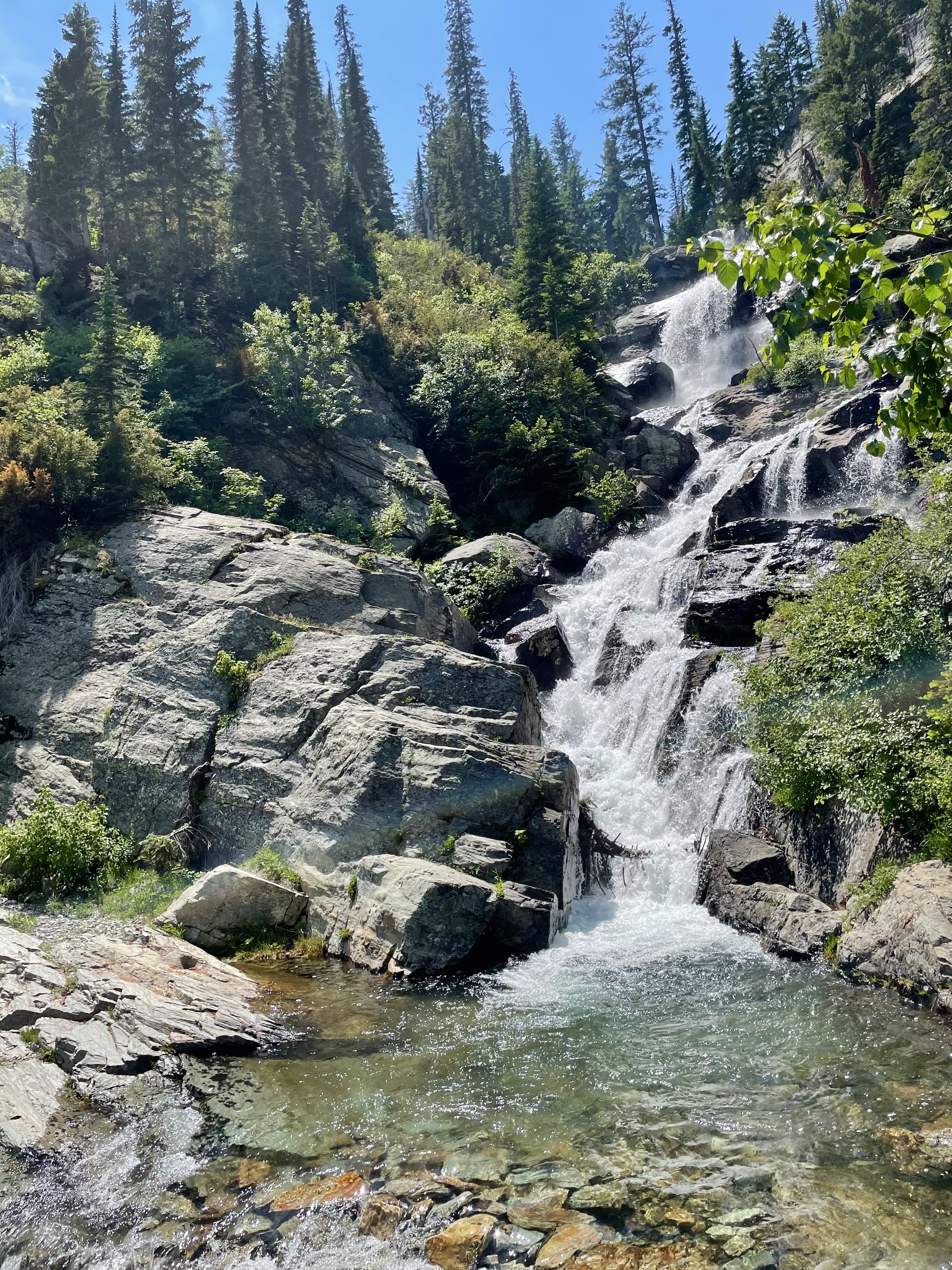 Leigh Lake Trail #132