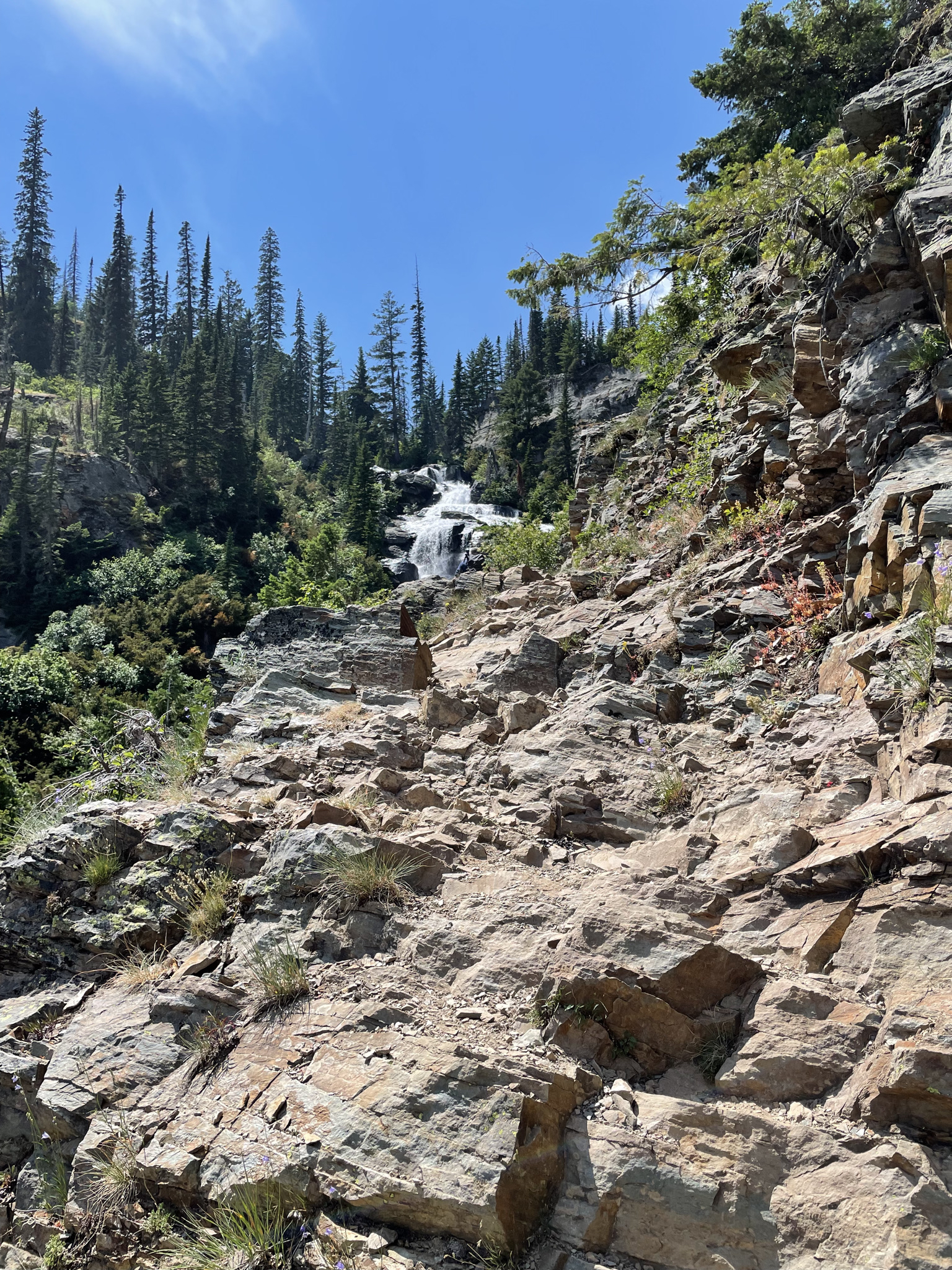 Leigh Lake Trail #132
