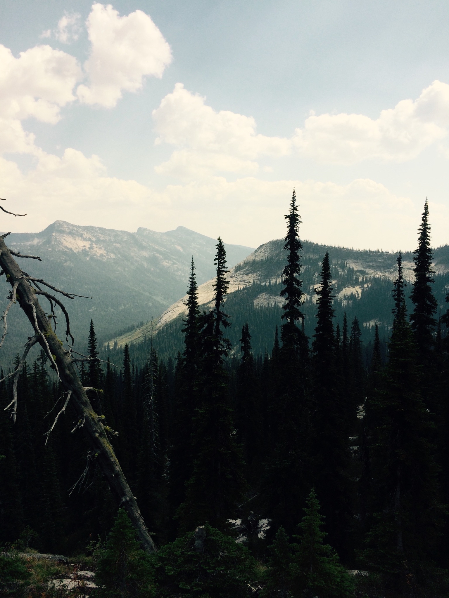 Harrison Lake Trail