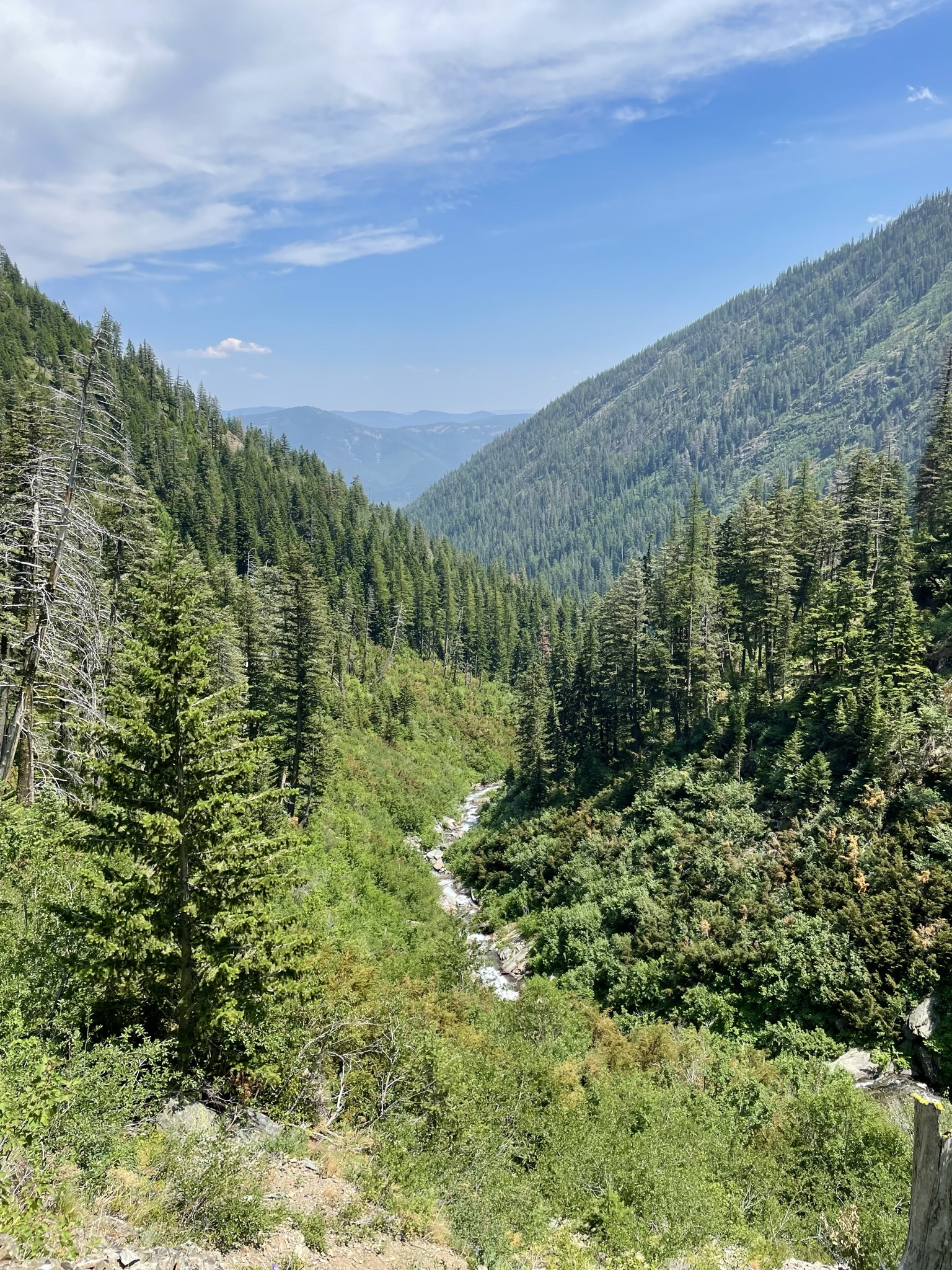 Leigh Lake Trail #132