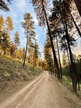 North Nettelton Gulch Road to Shadduck