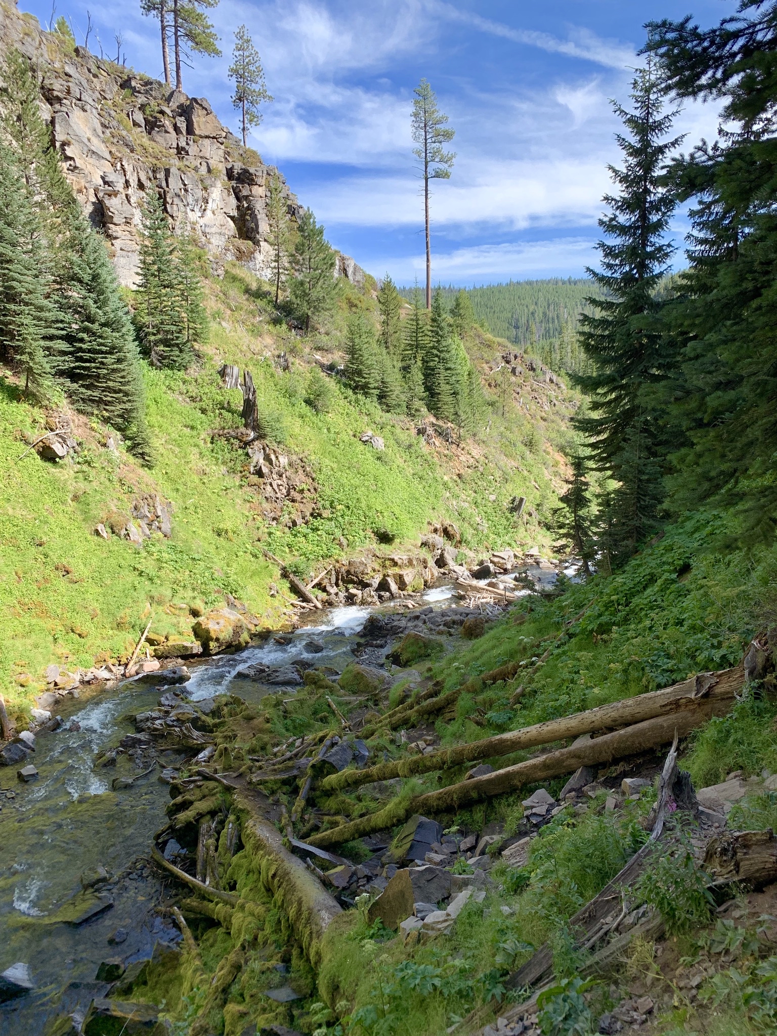 Tumalo Creek Loop
