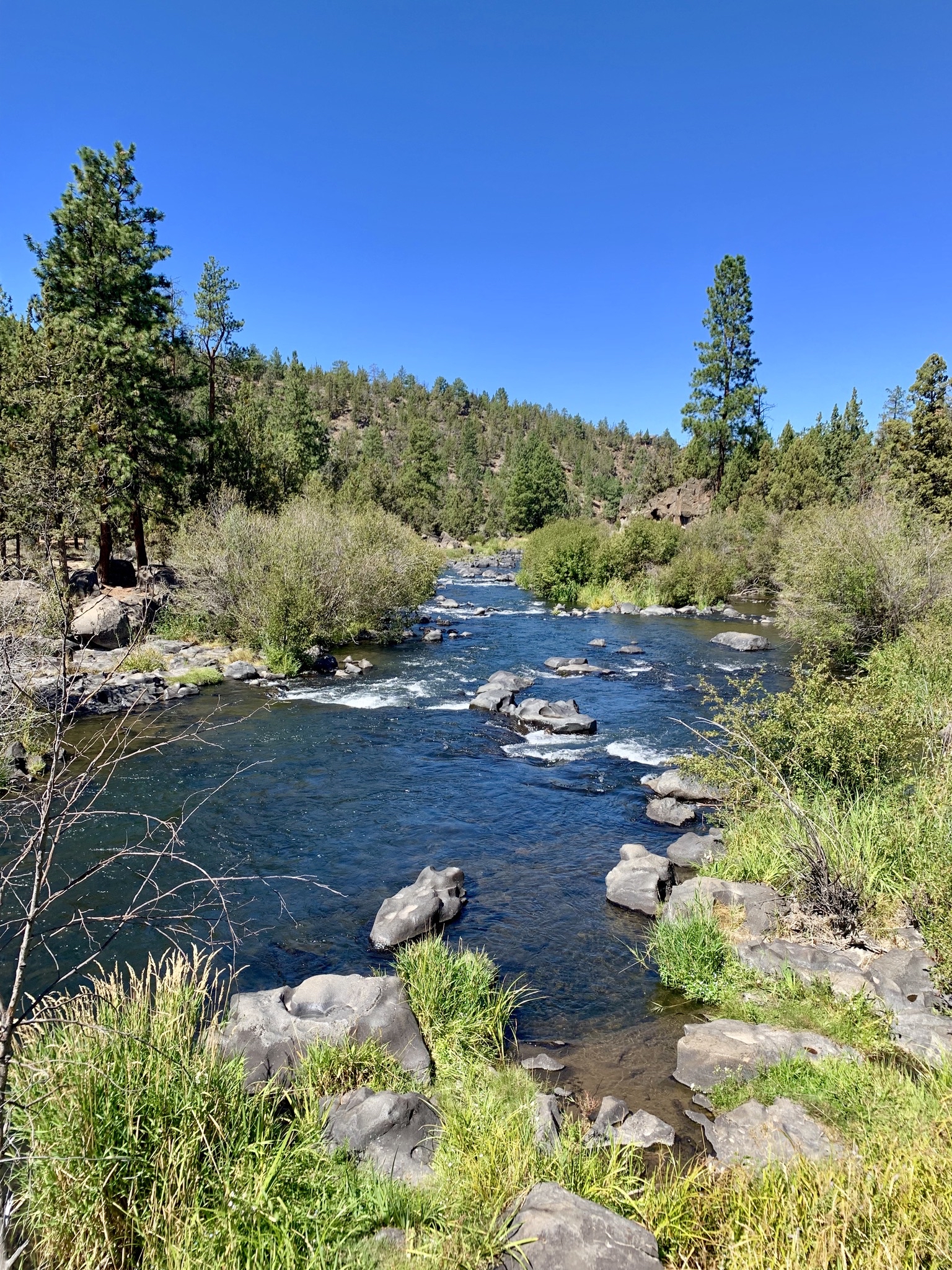 Deschutes River Trail Loop