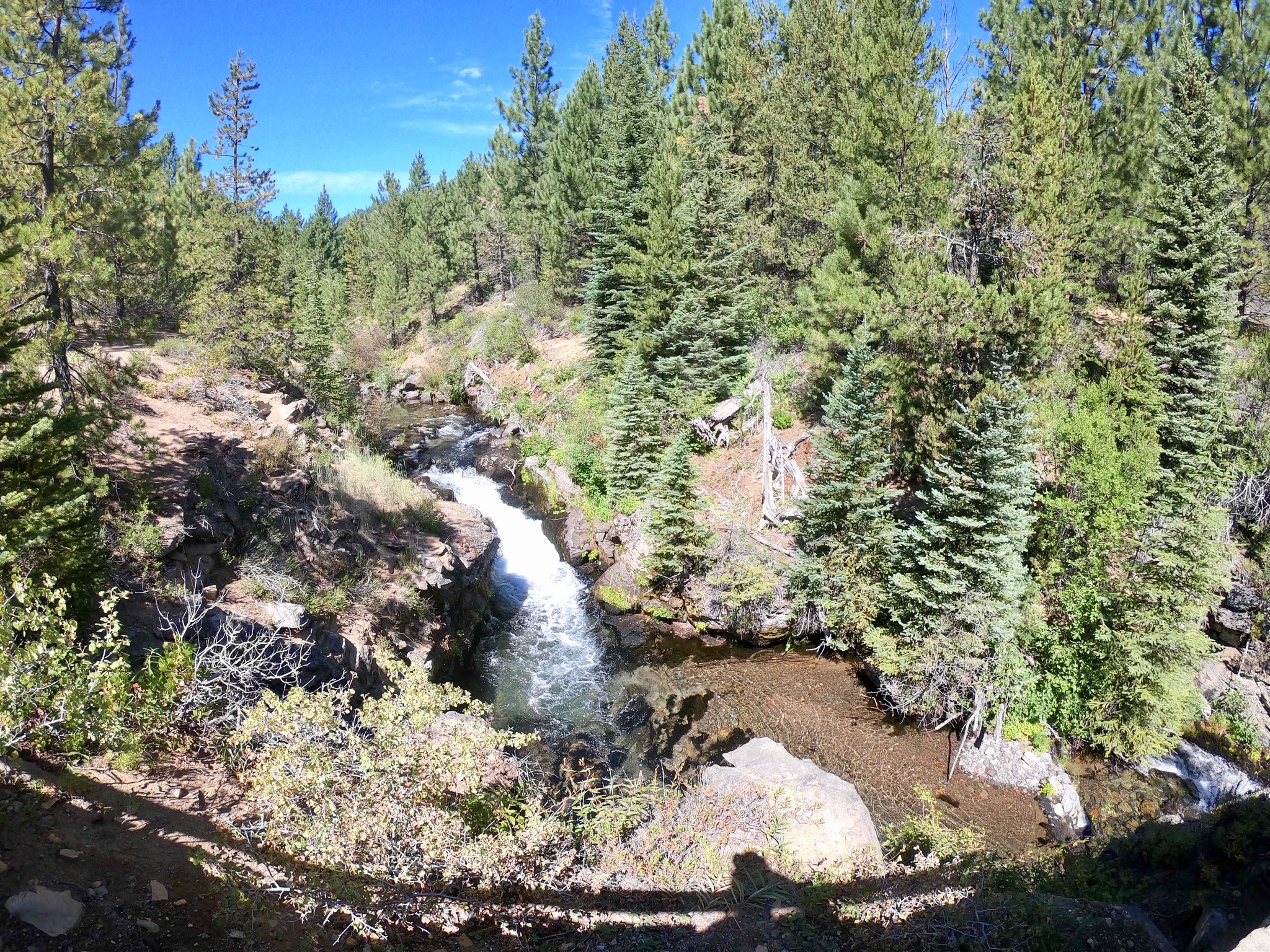 Tumalo Creek Loop