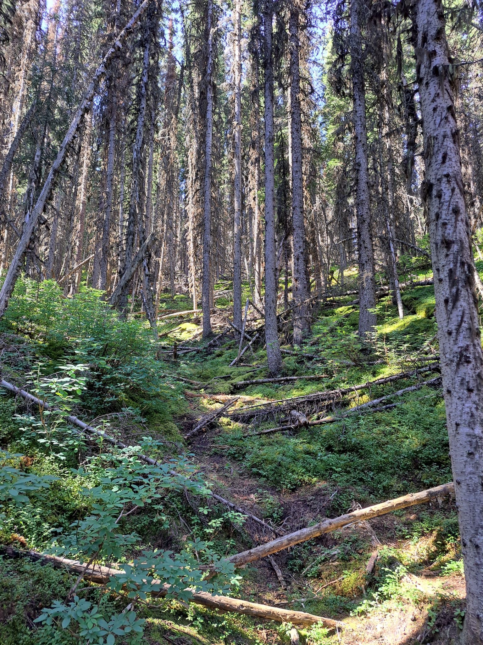 Rawson Lake & Sarrail Ridge
