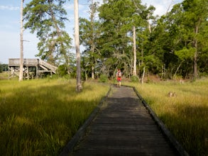 Bald Cypress Trail