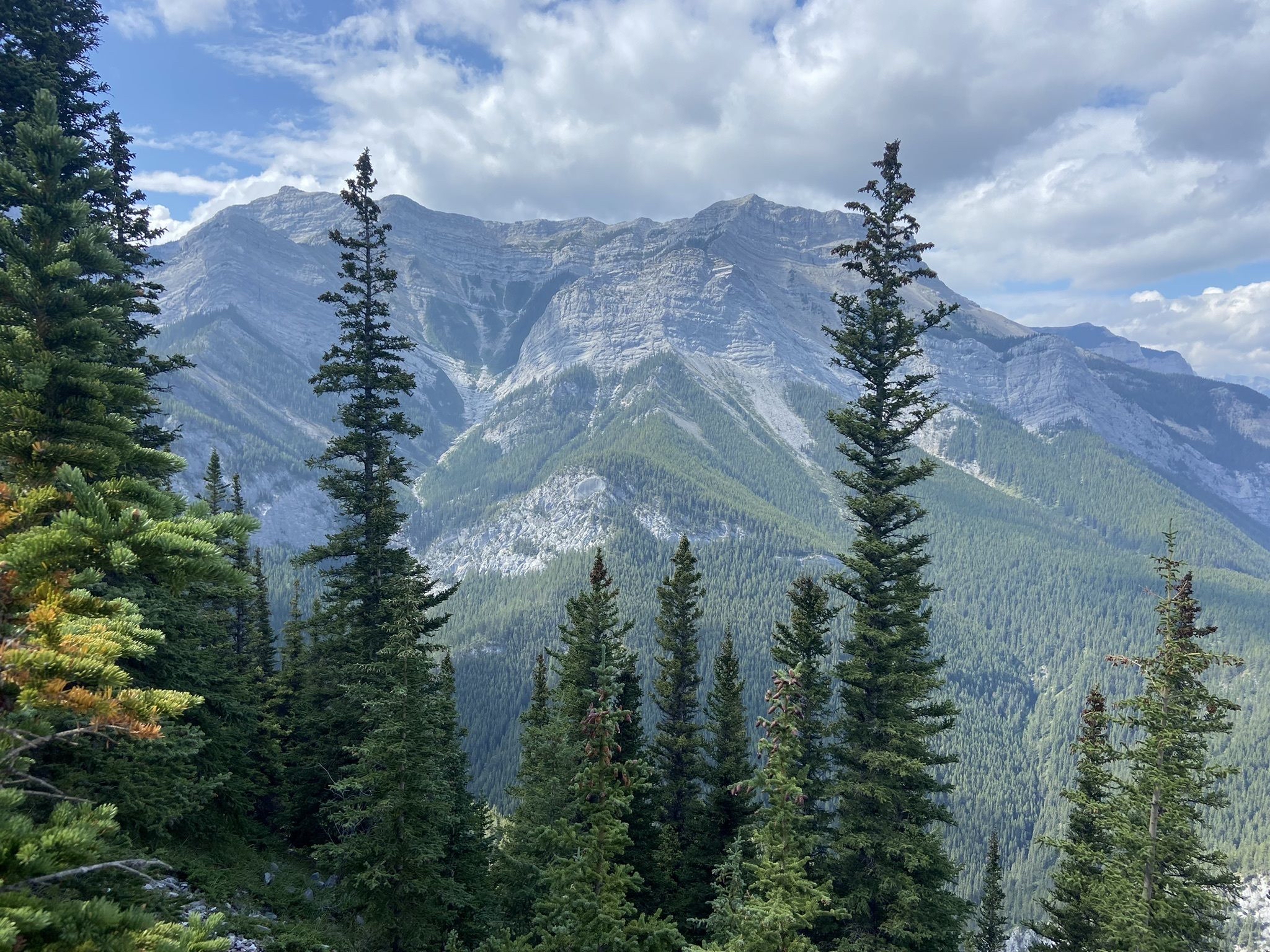 Heart Mountain and Grant MacEwan Scramble