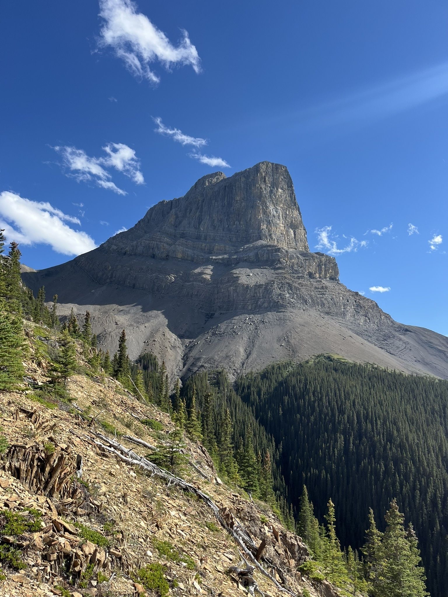 Hike Roche Miette